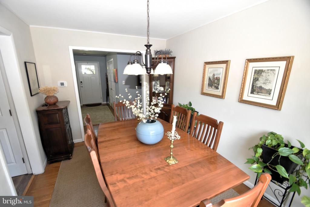 10 CASIMIR COURT