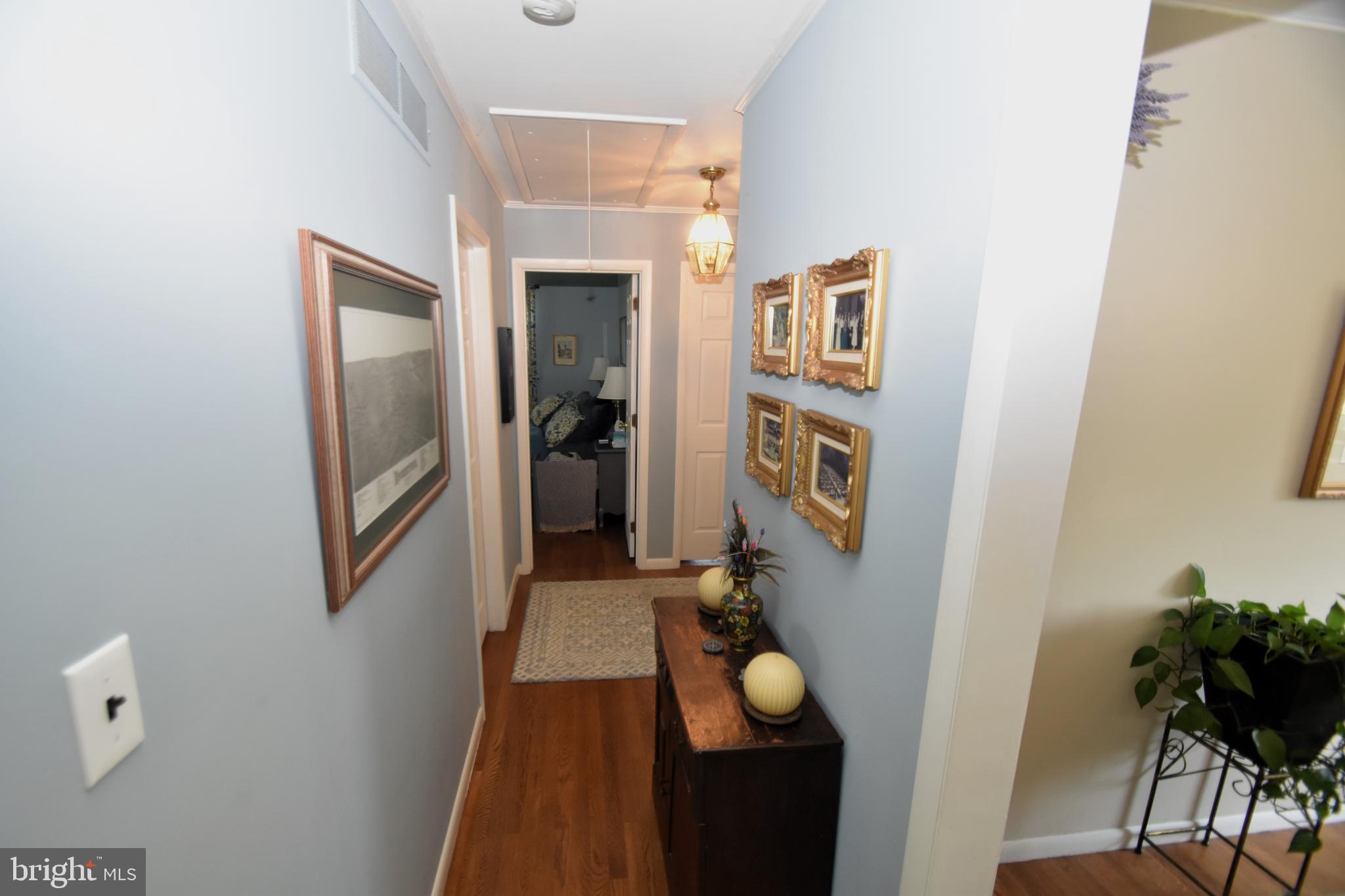 10 CASIMIR COURT