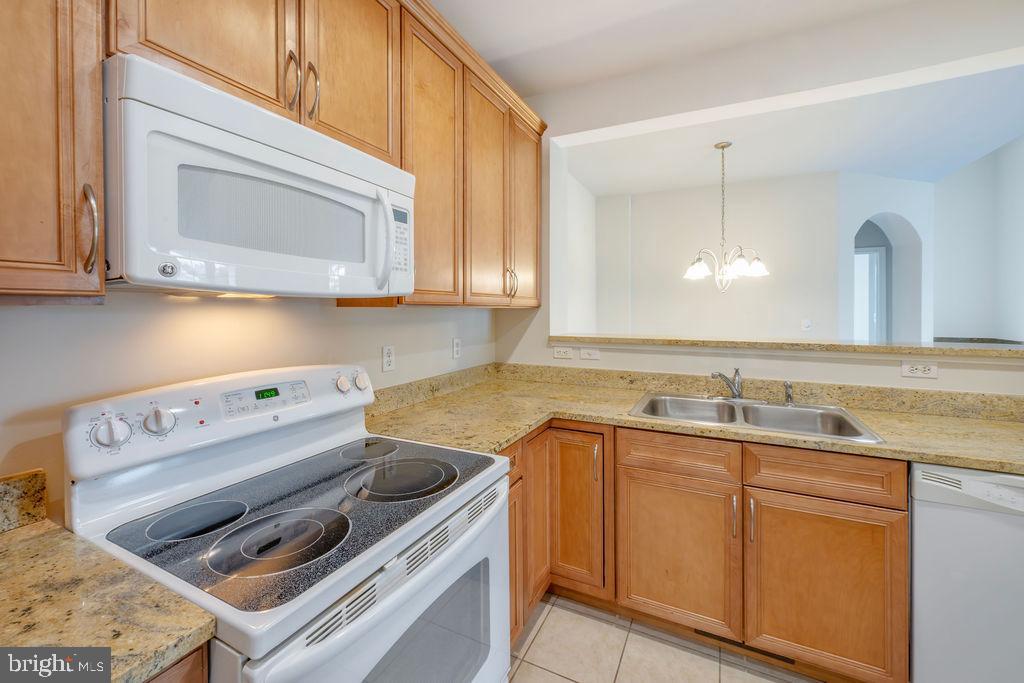 16433 ABRAHAM POTTER RUN 505