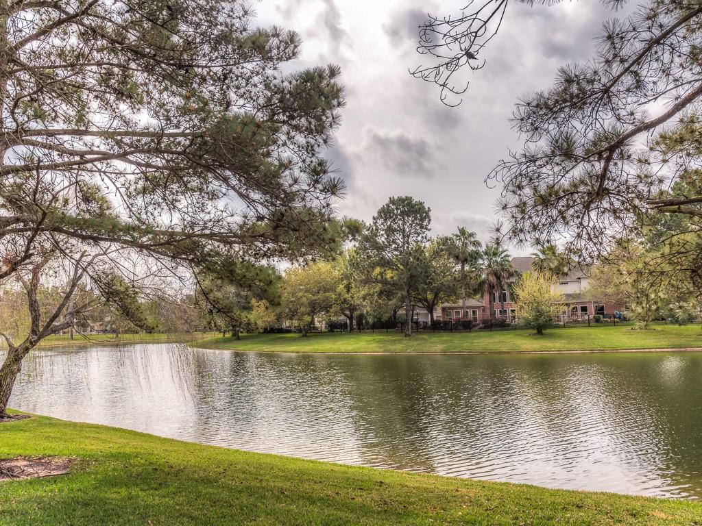 13419 Amber Queen Lane