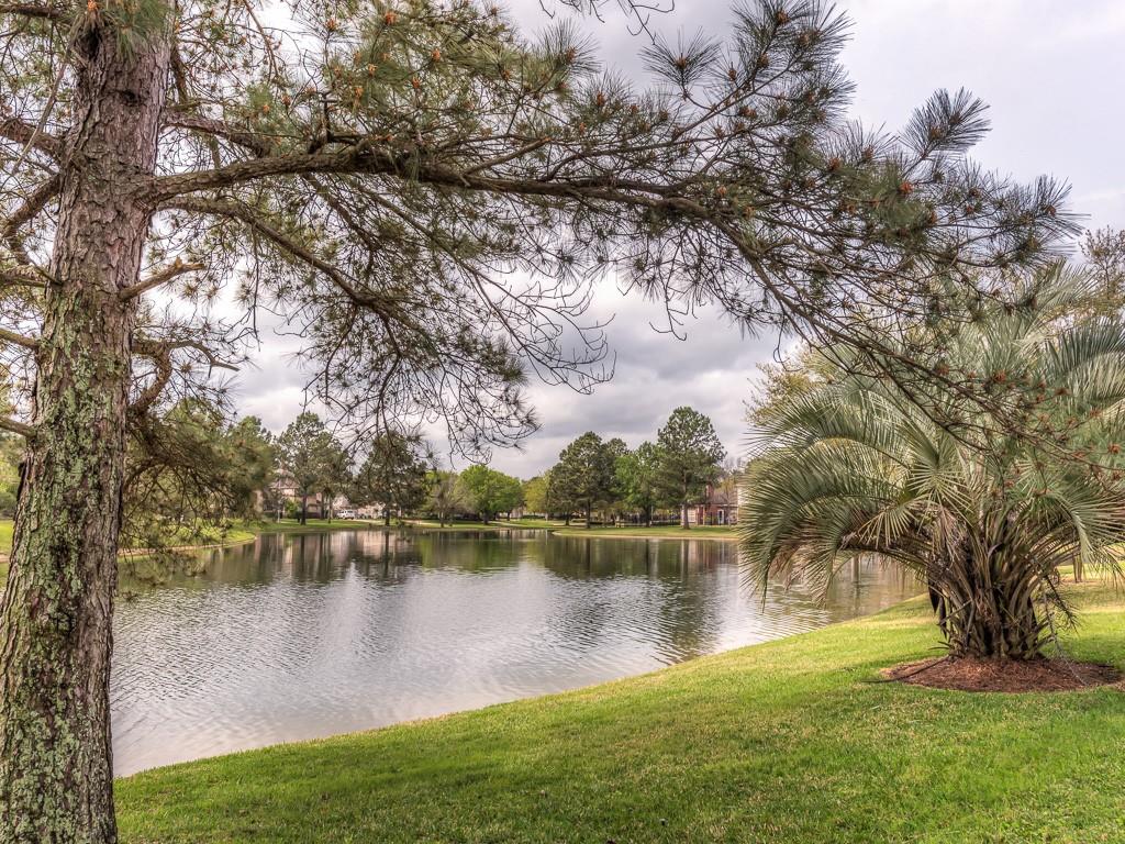 13419 Amber Queen Lane