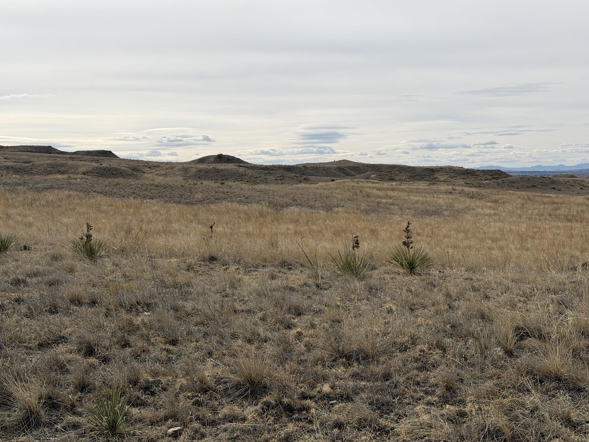 137, 112, 113 Tollefson Trail