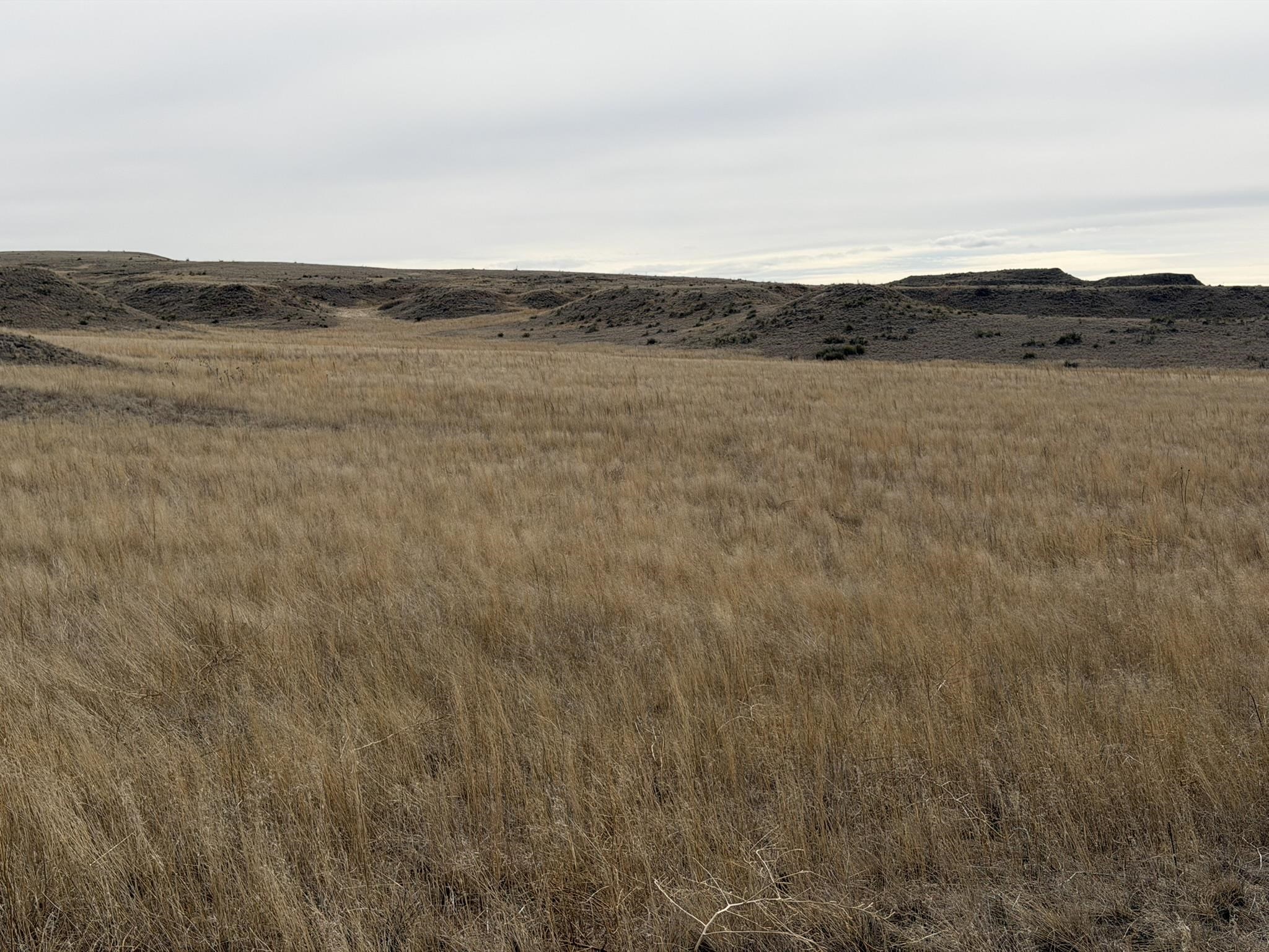 137, 112, 113 Tollefson Trail