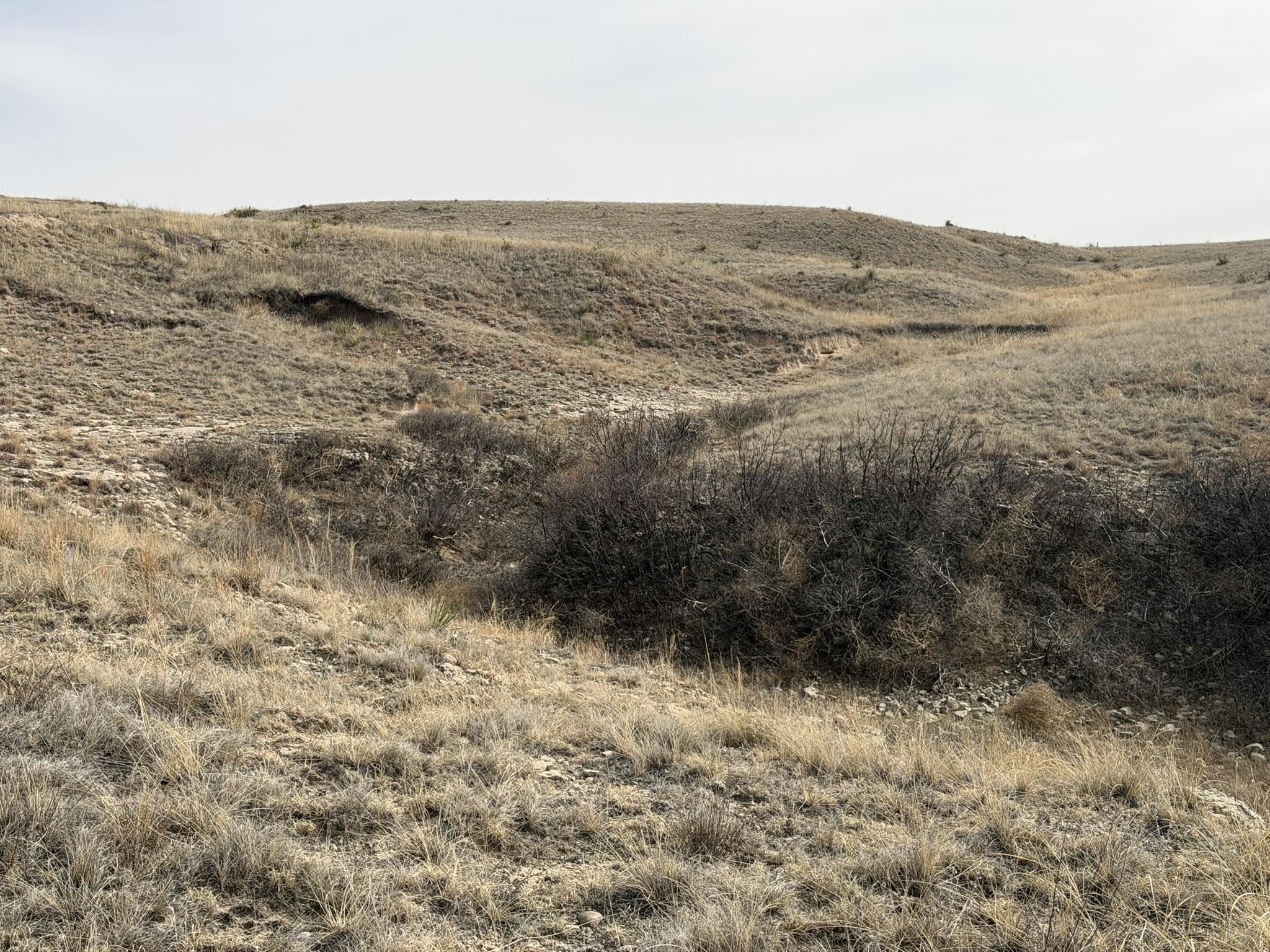 137, 112, 113 Tollefson Trail