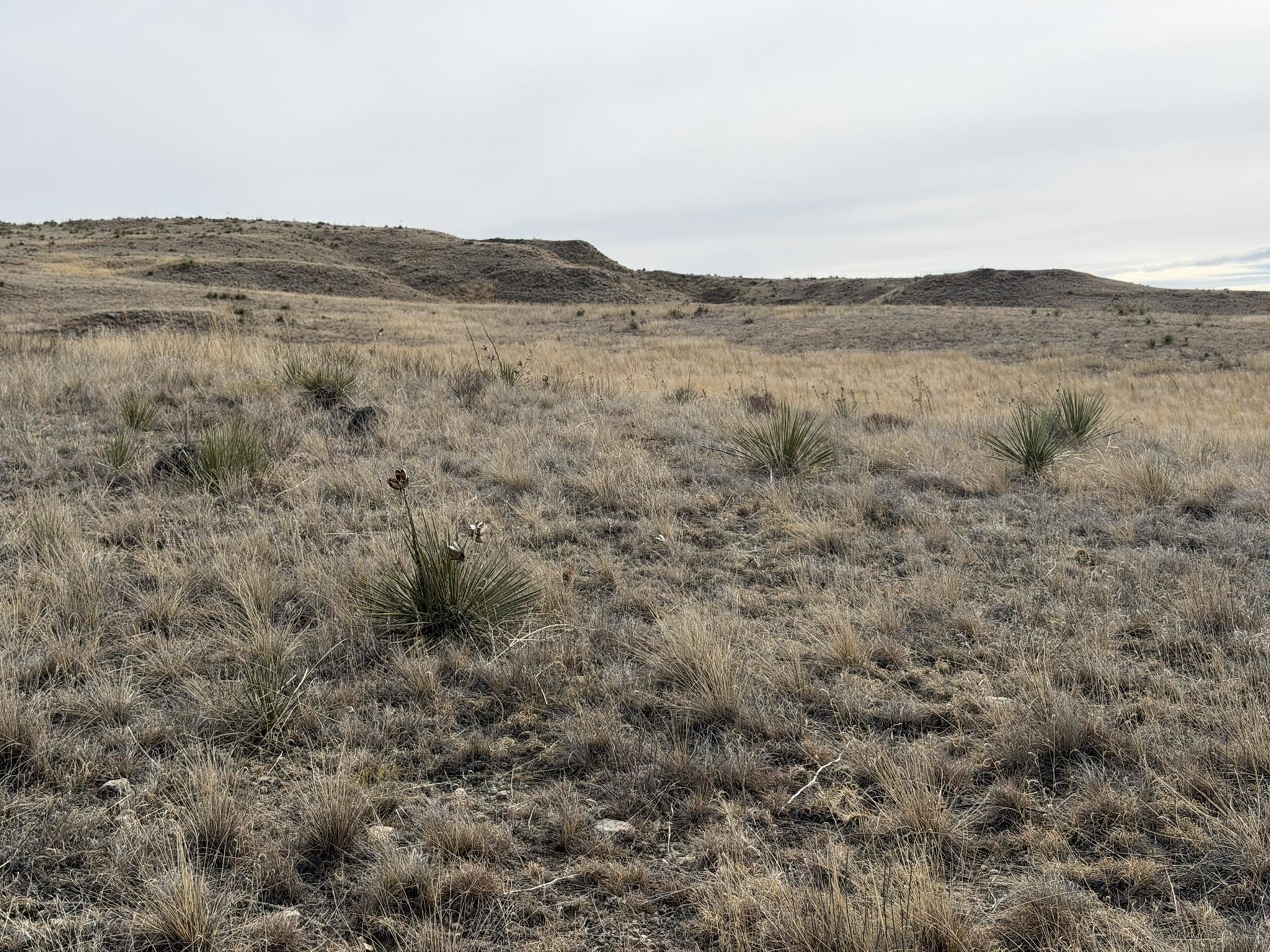 137, 112, 113 Tollefson Trail