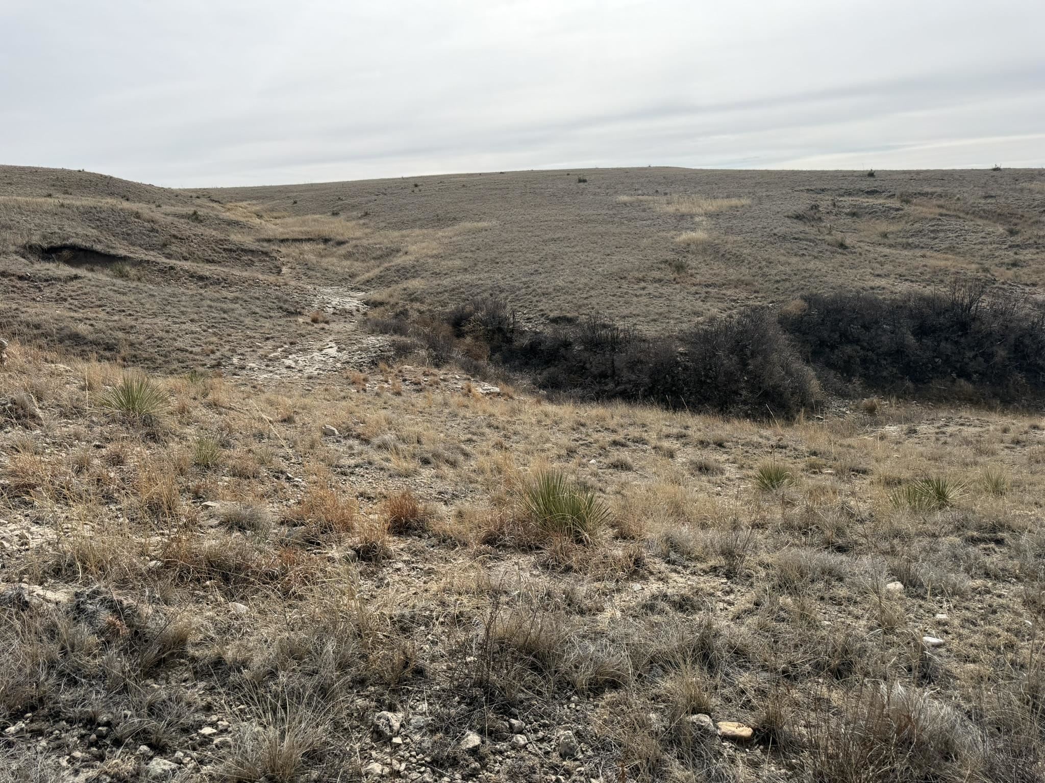 137, 112, 113 Tollefson Trail