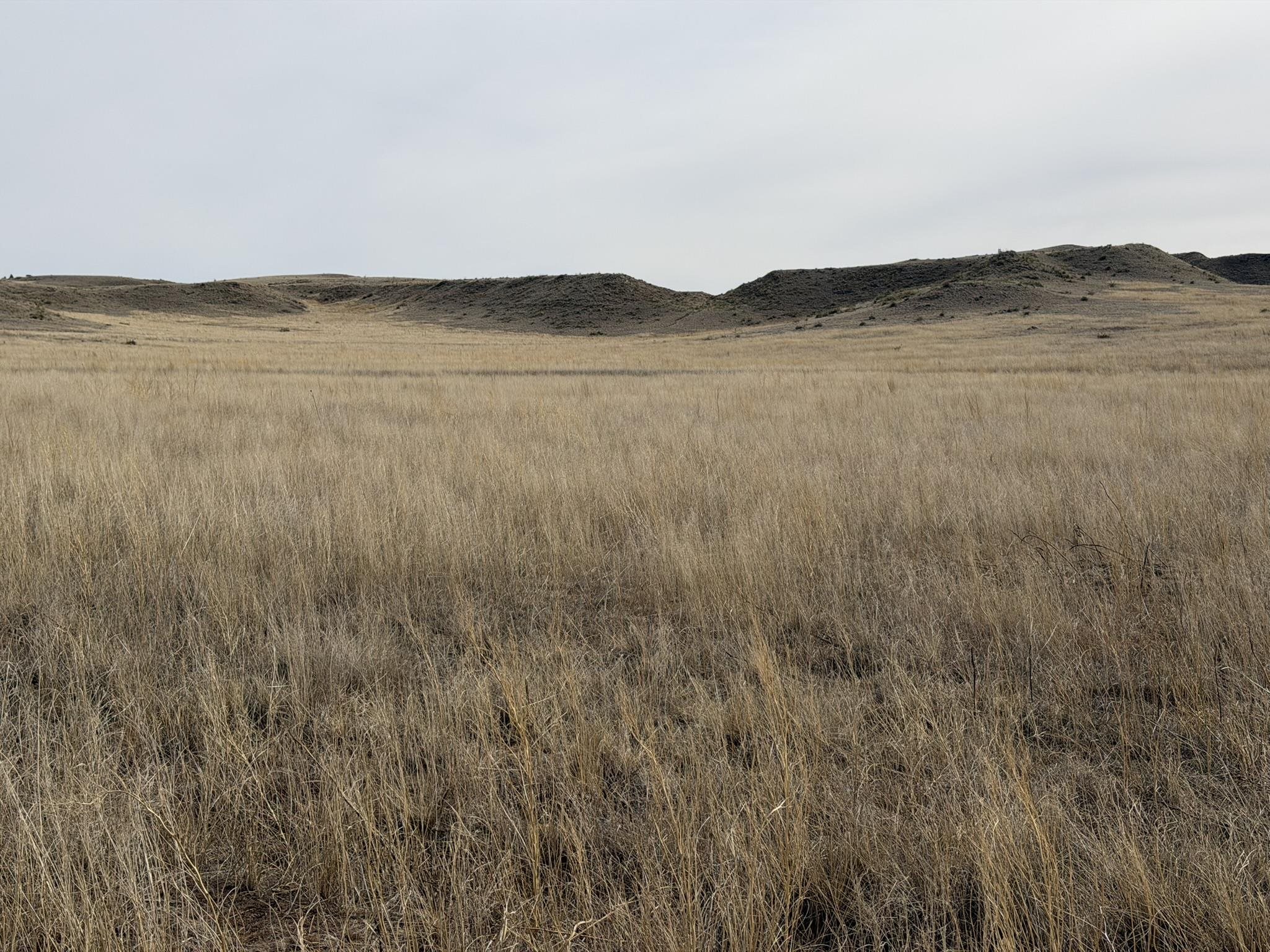 137, 112, 113 Tollefson Trail
