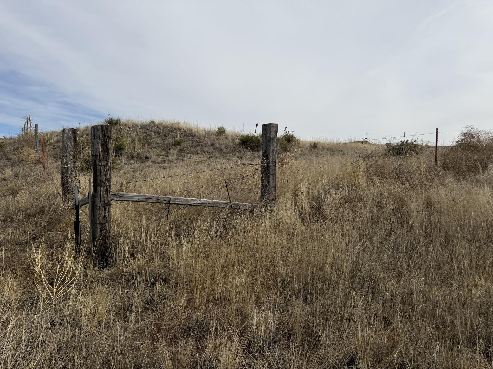 137, 112, 113 Tollefson Trail