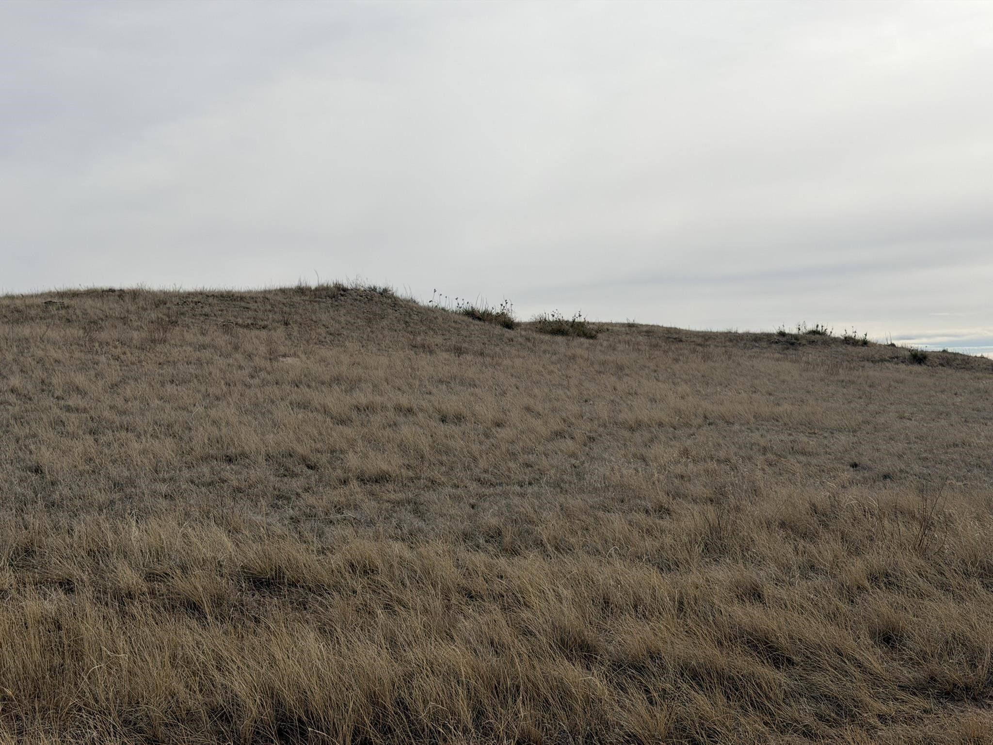137, 112, 113 Tollefson Trail