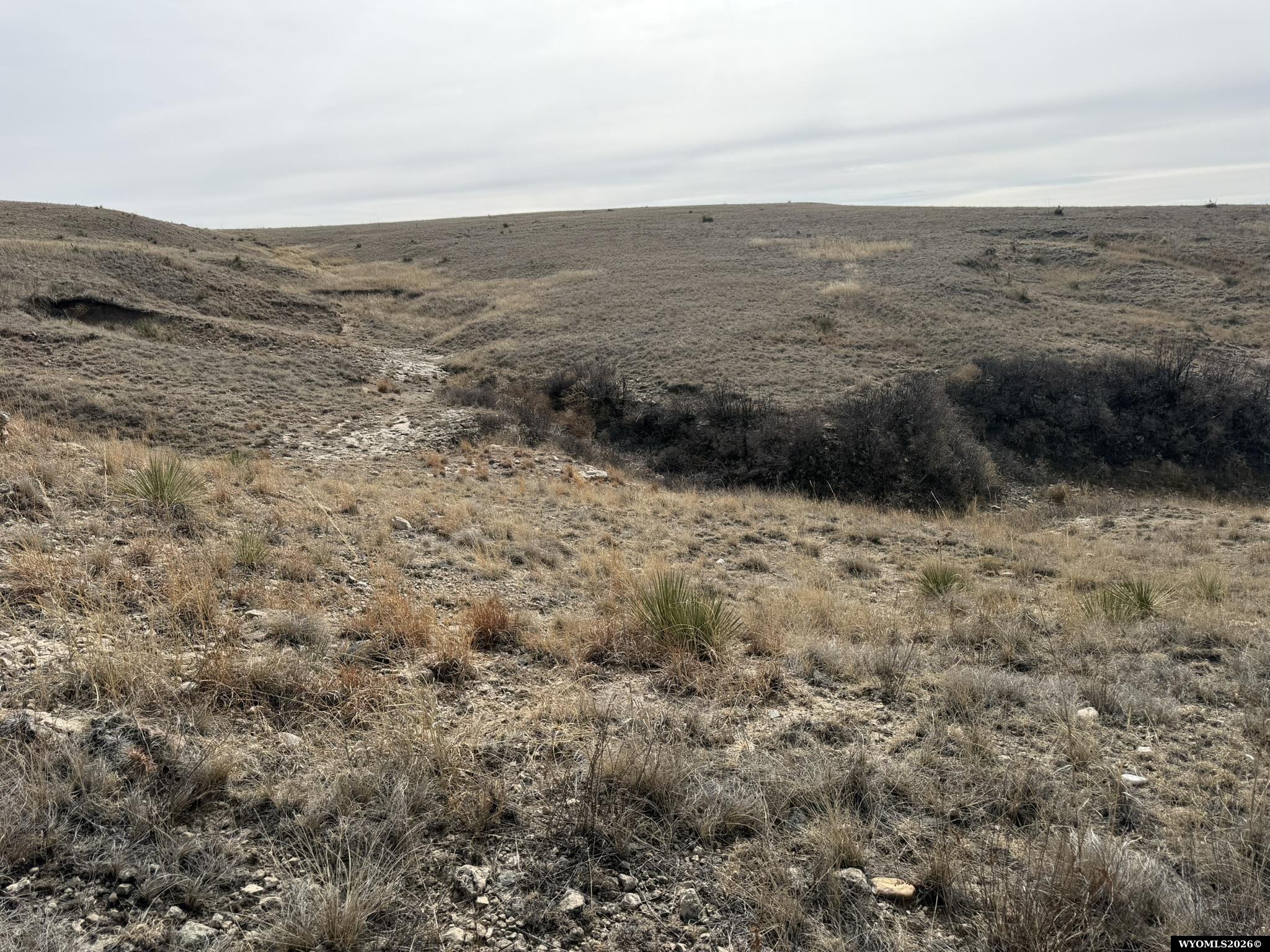 137, 112, 113 Tollefson Trail