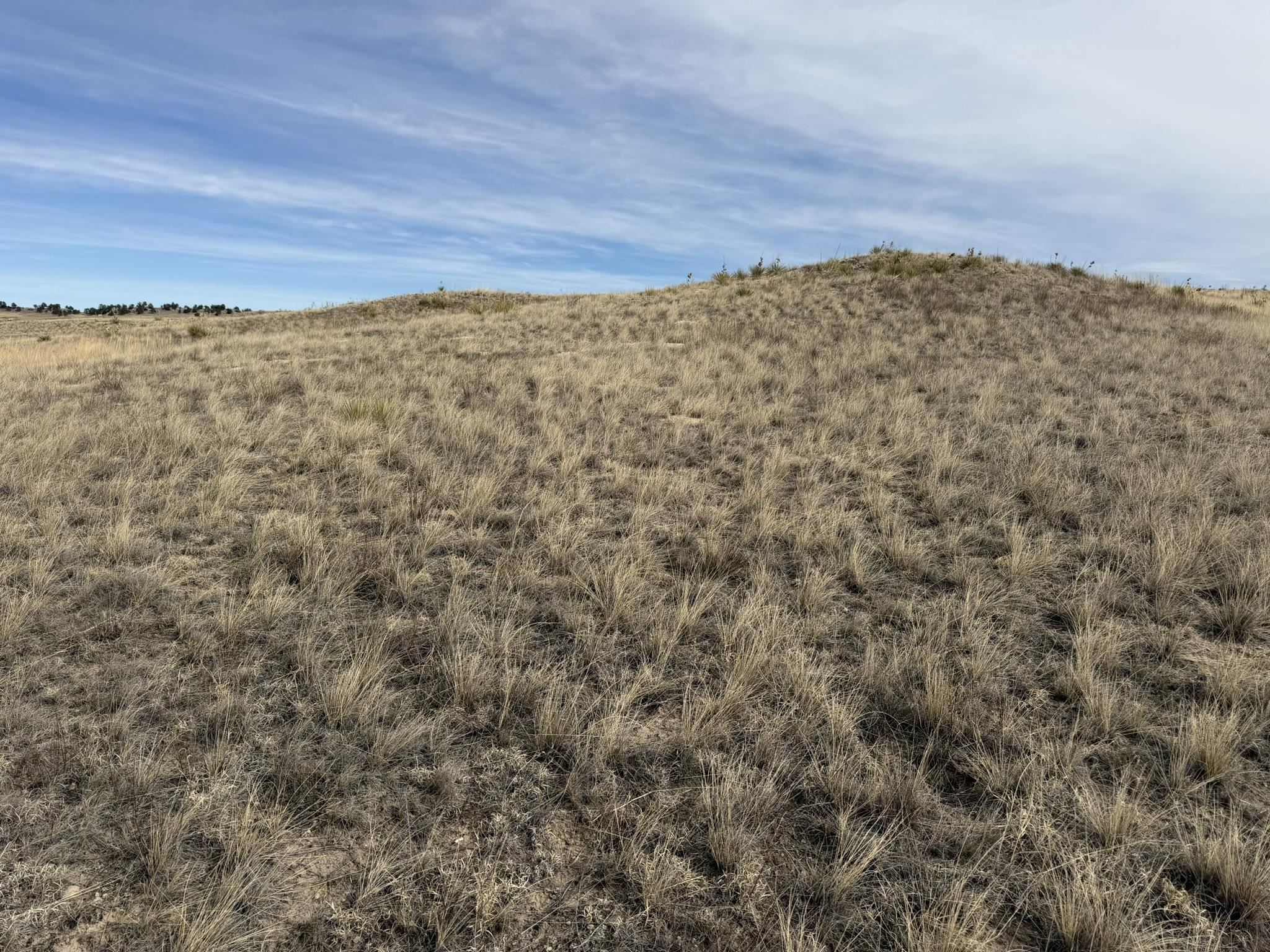 137, 112, 113 Tollefson Trail