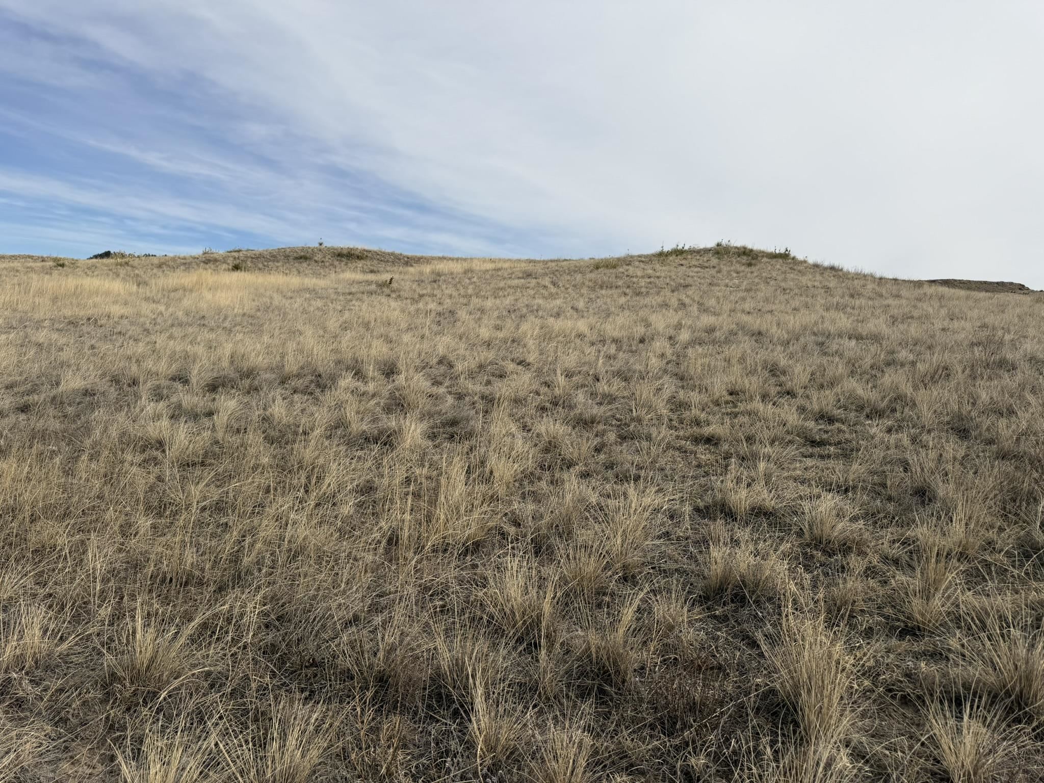 137, 112, 113 Tollefson Trail