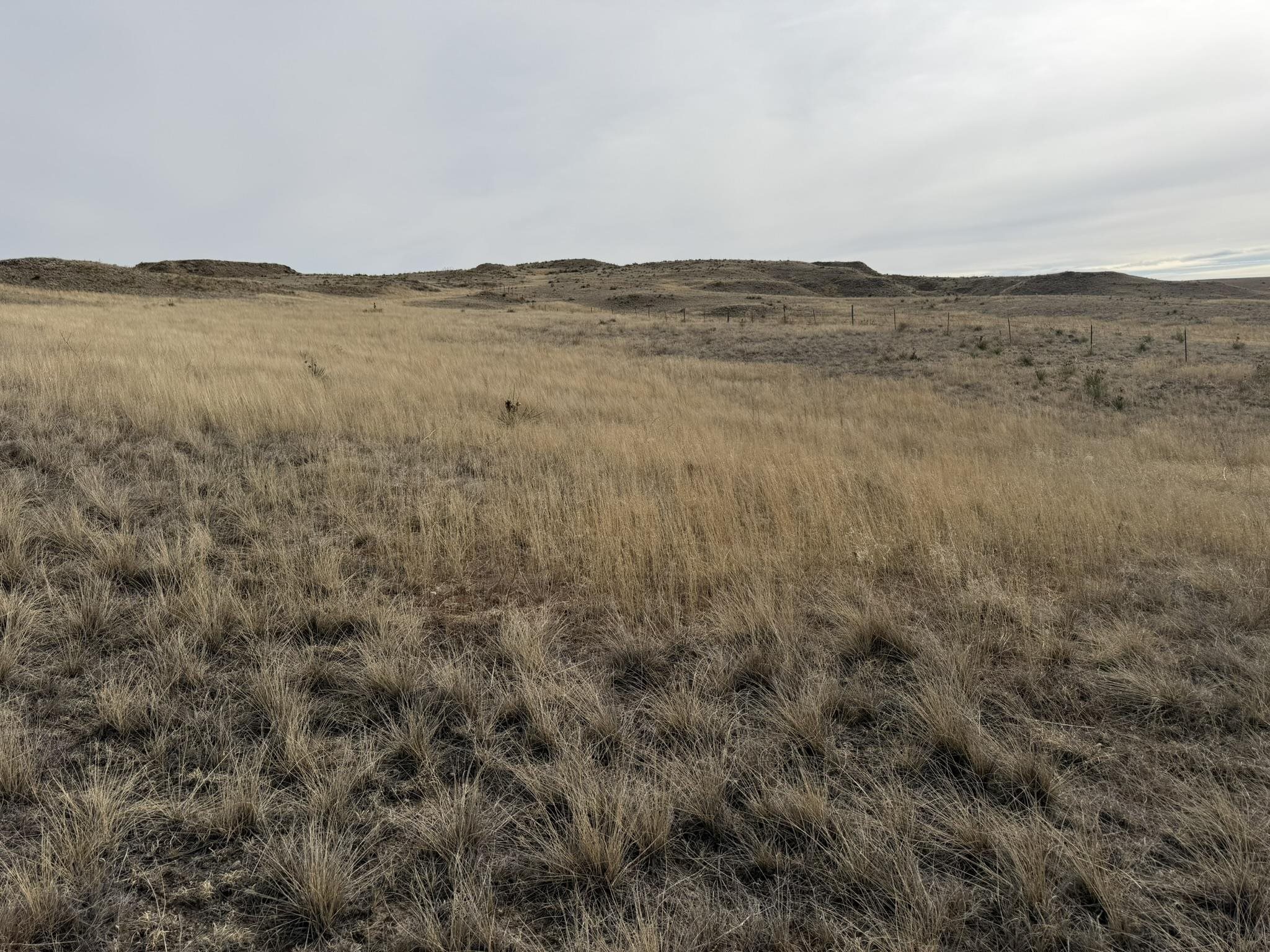137, 112, 113 Tollefson Trail