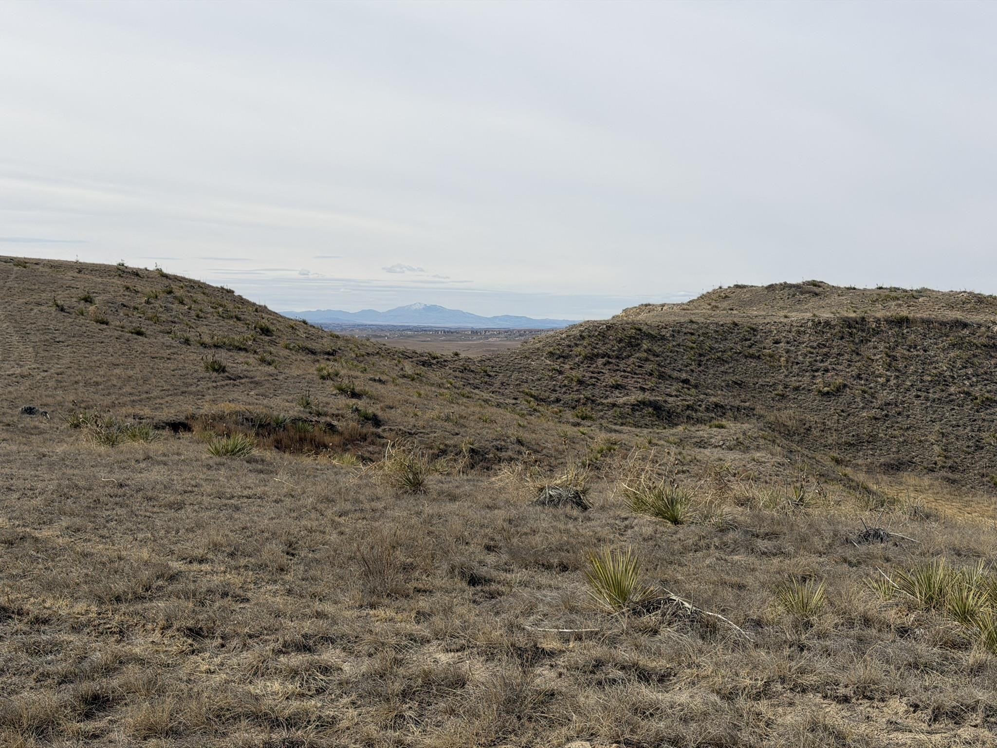 137, 112, 113 Tollefson Trail
