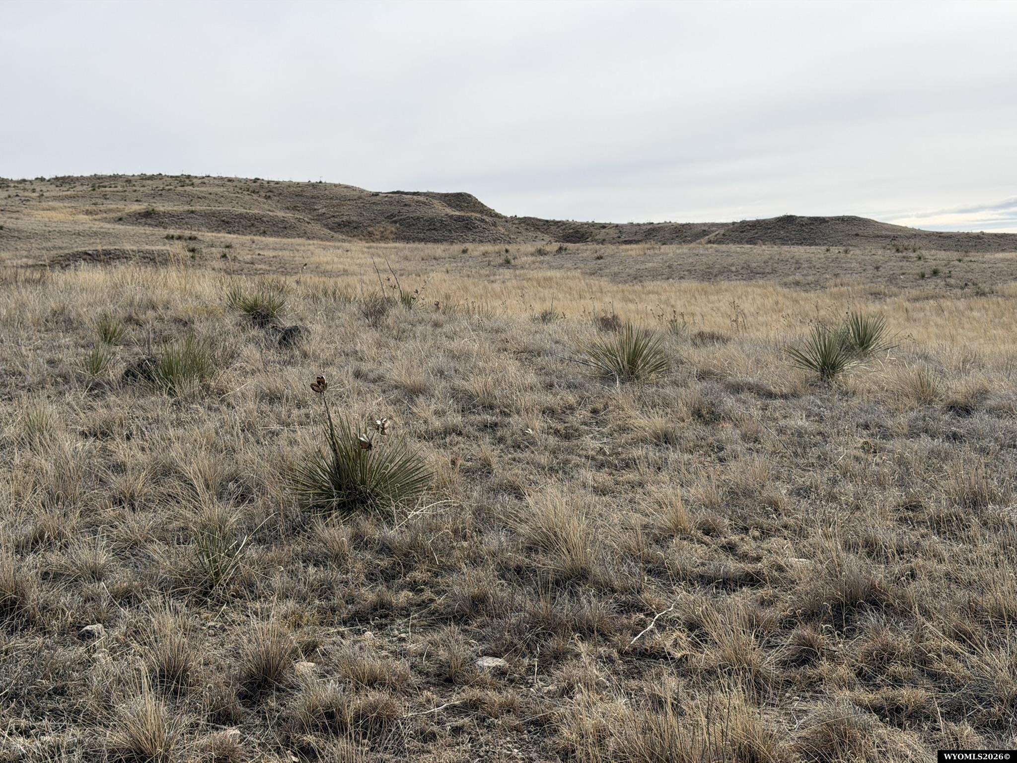 137, 112, 113 Tollefson Trail