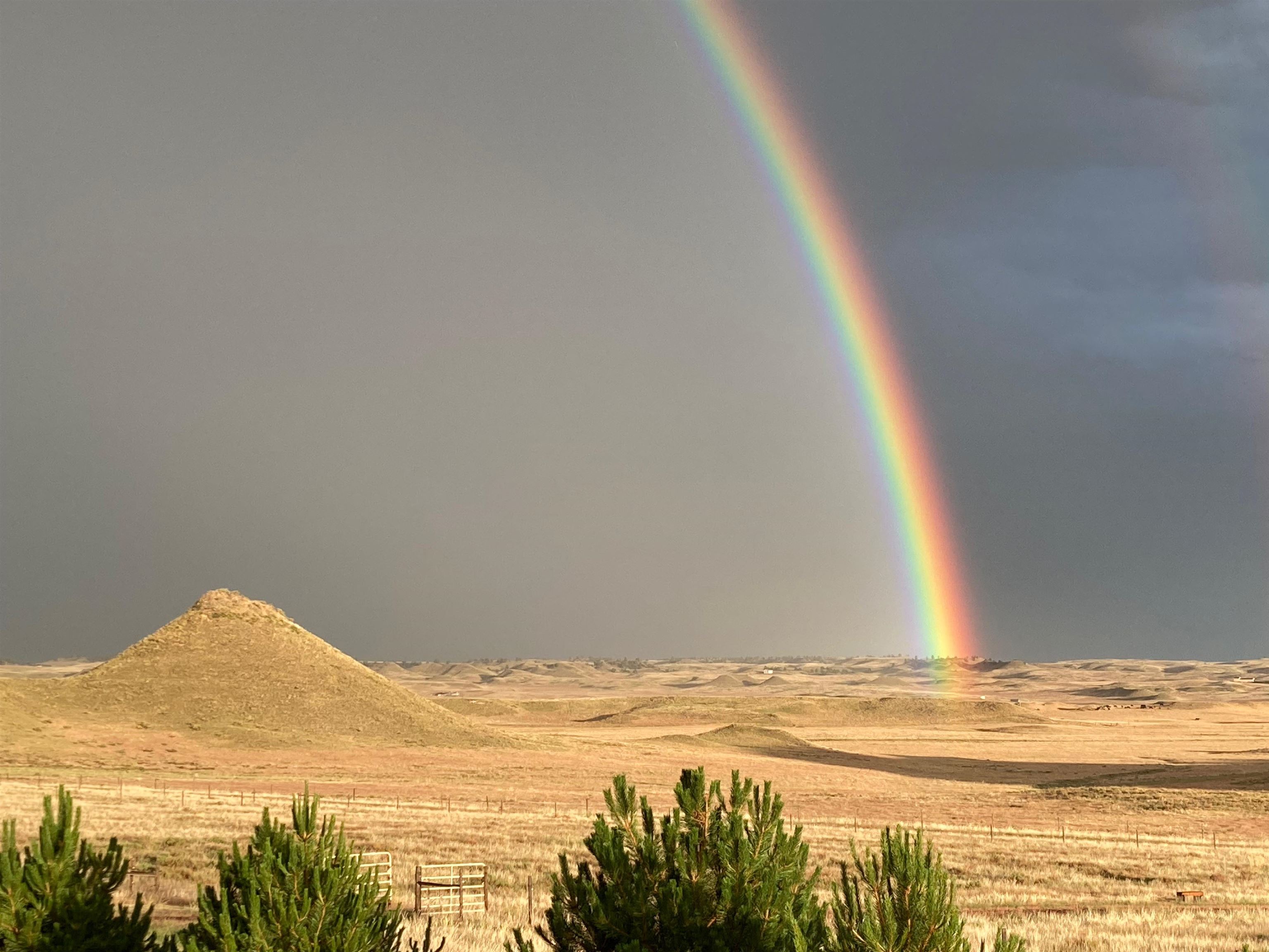 1974 Oregon Trail