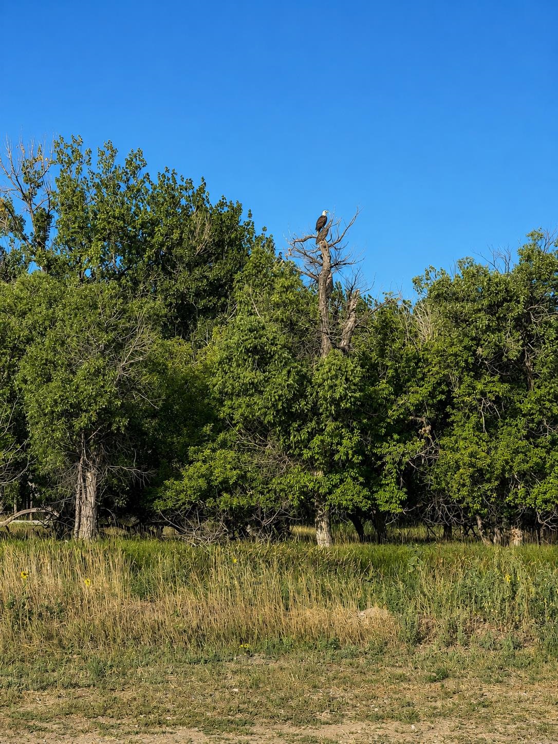 704 90 Road