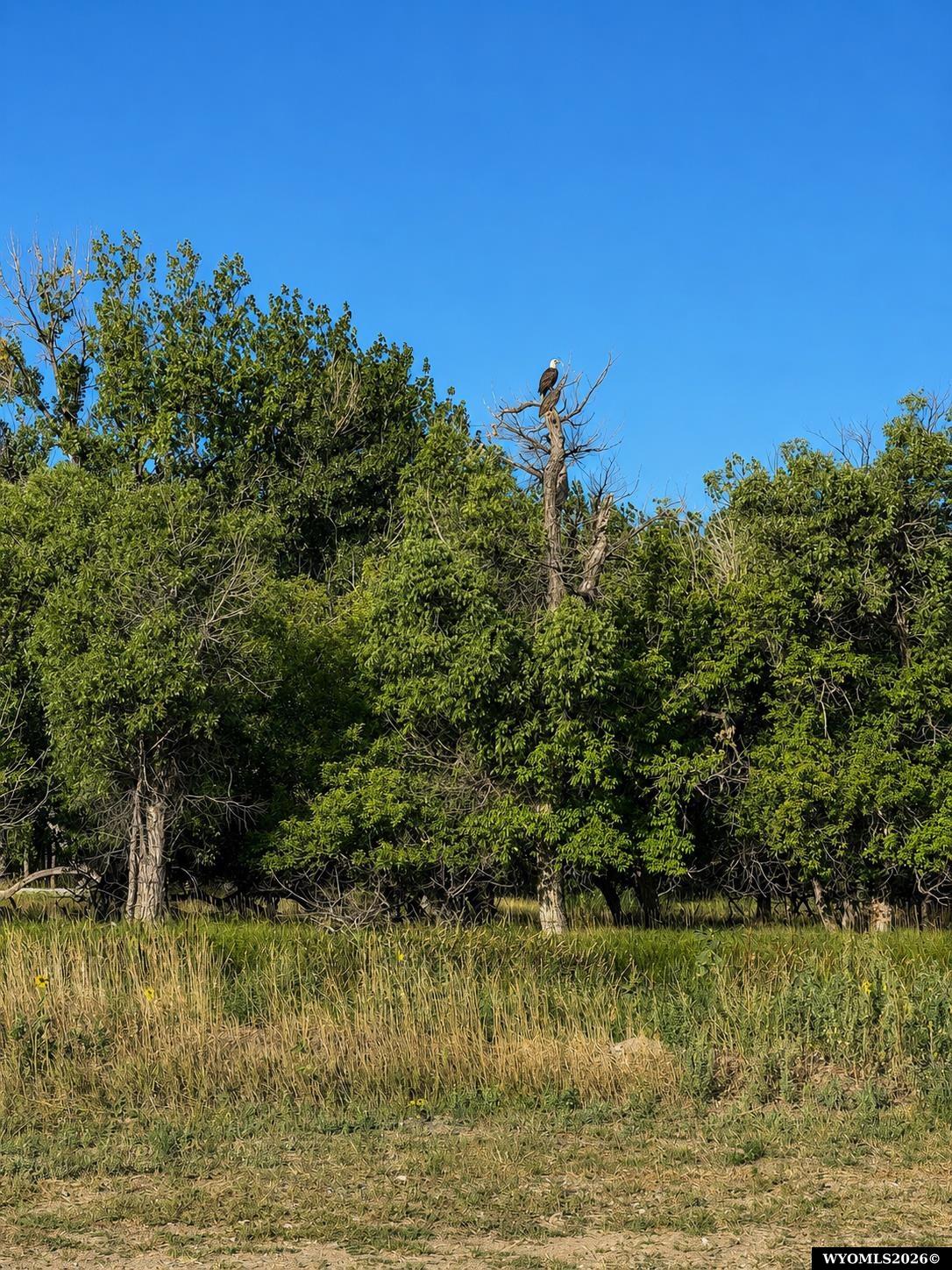 704 90 Road