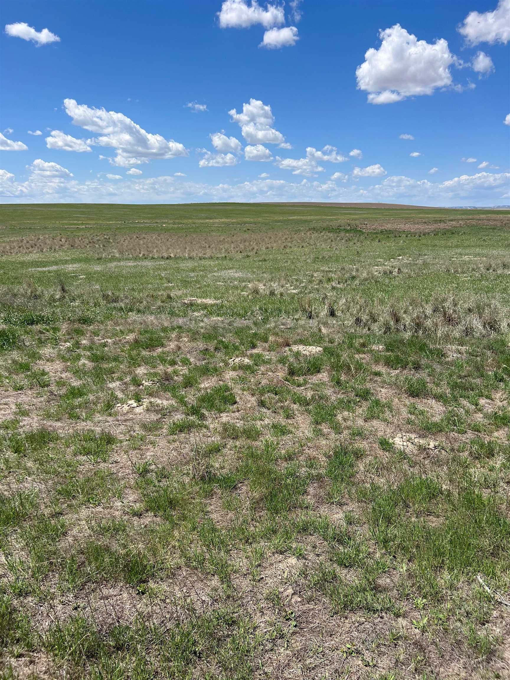 4686 Road 37