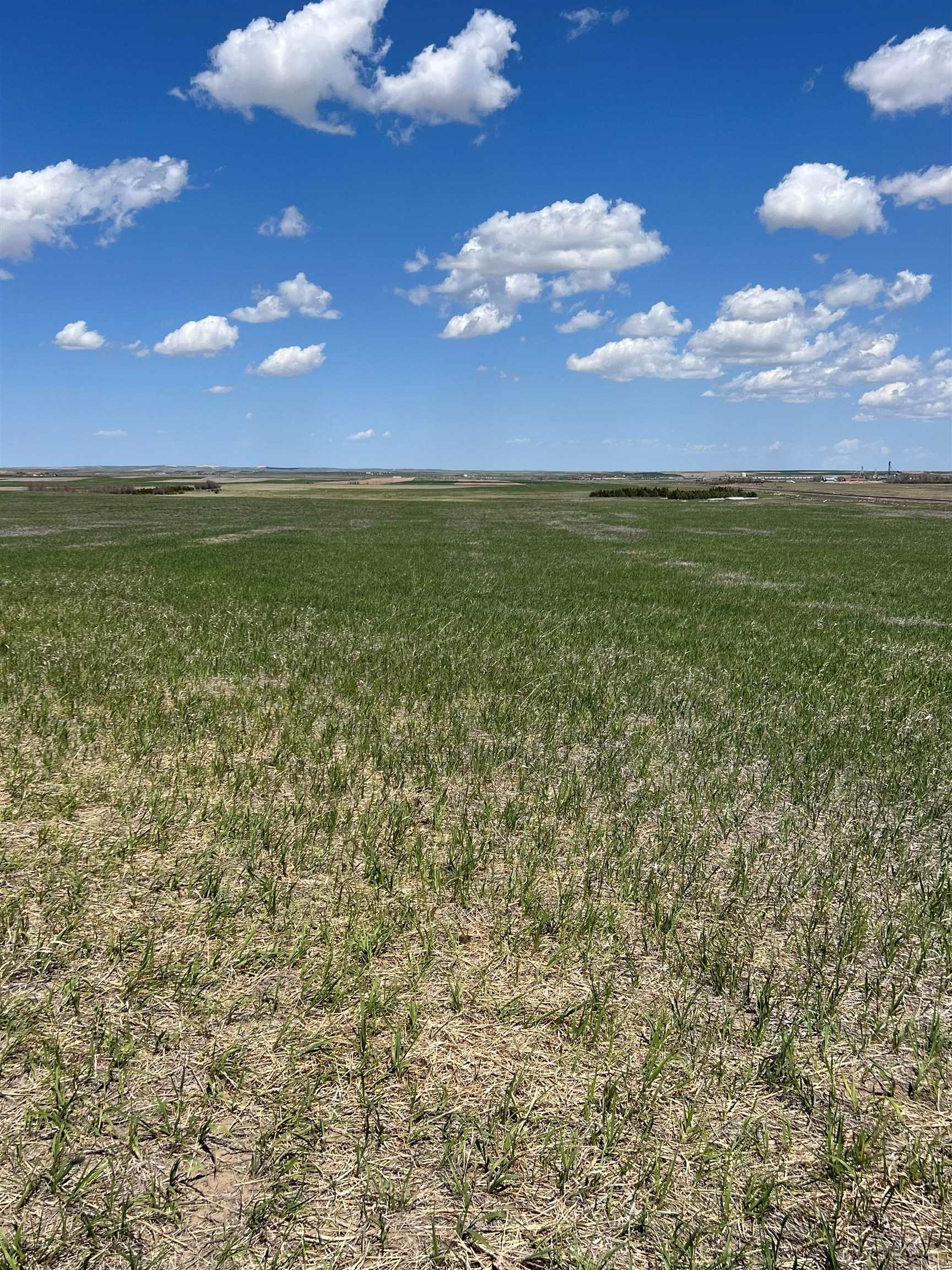 4686 Road 37