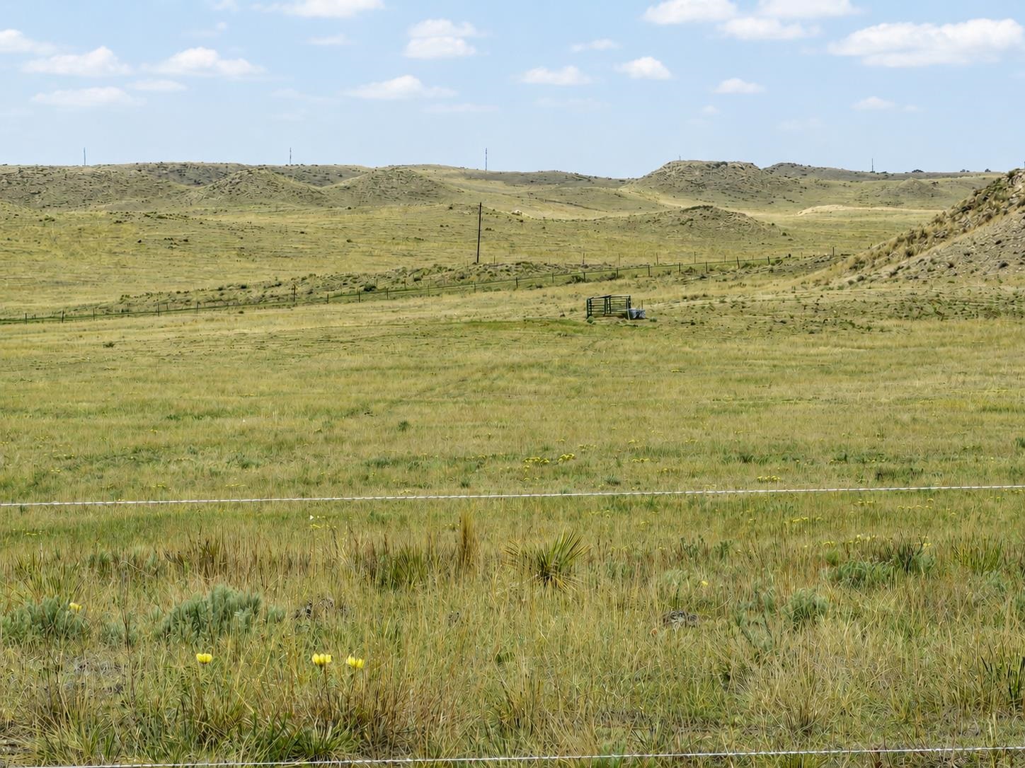 10012 Oregon Trail
