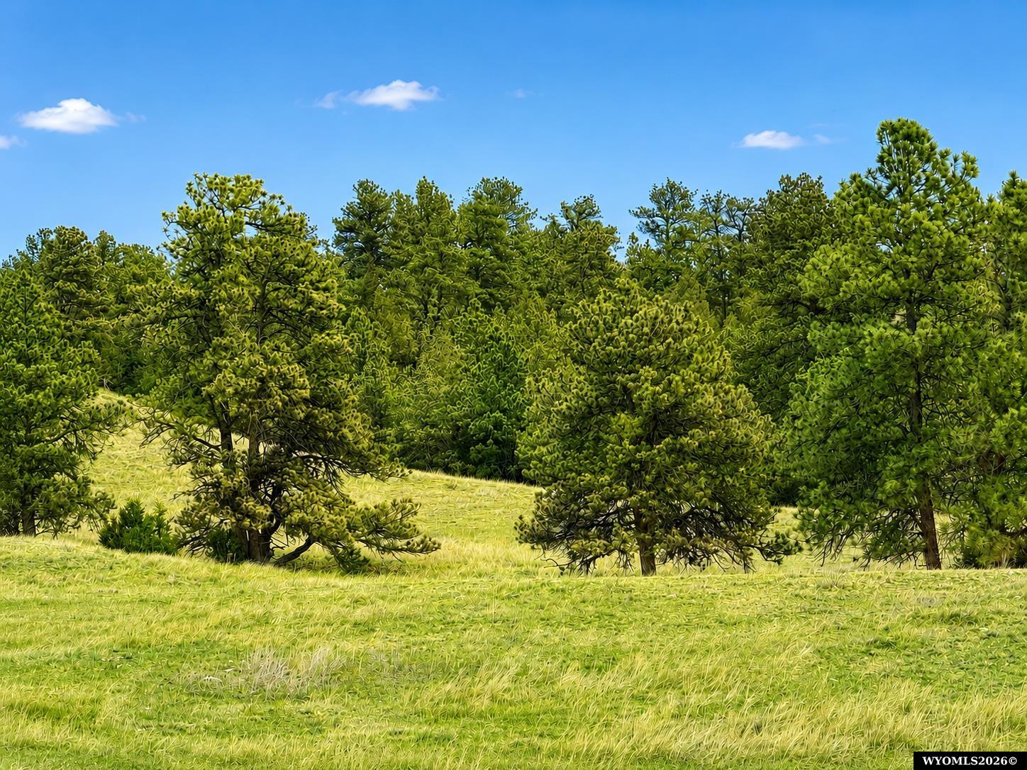 Lot 151 Big Moon Drive