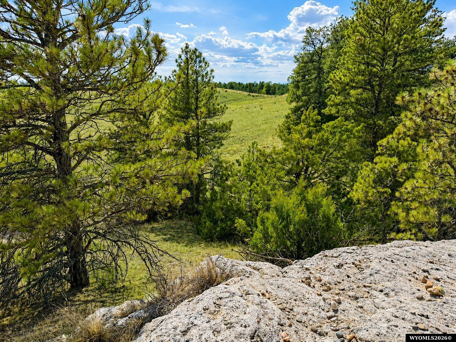 Lot 151 Big Moon Drive