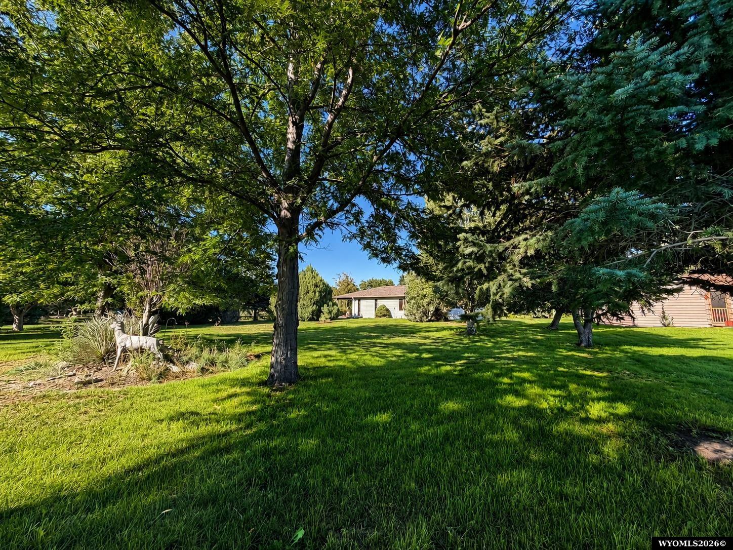 241 Willow Court