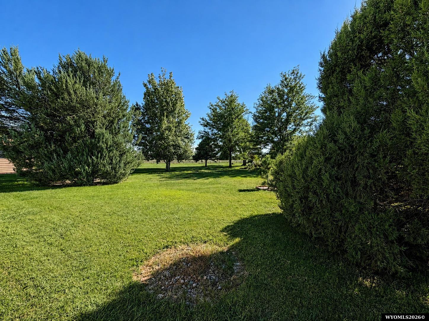 241 Willow Court