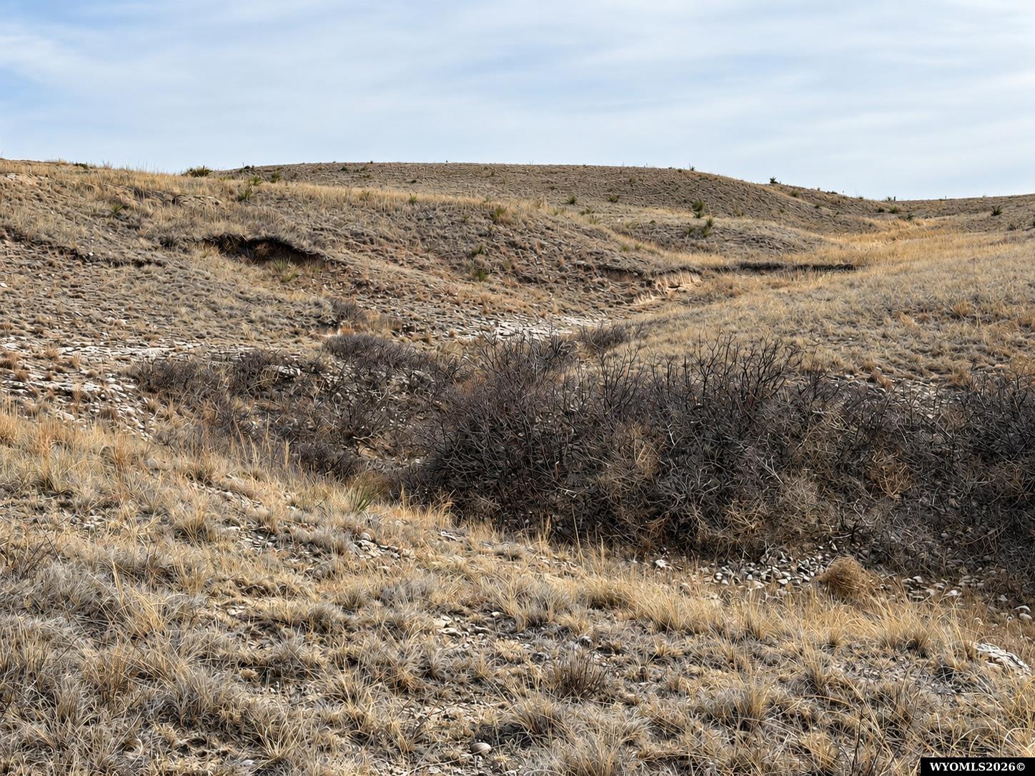 Vacant rolling lot with dry grass, rocky ground, and sparse shrubs.