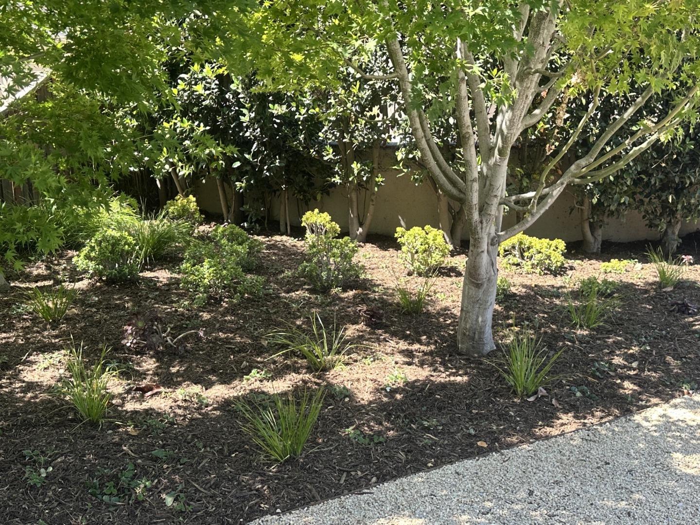 825 Woodland Avenue