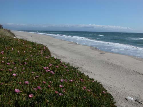 7 Pelican Point