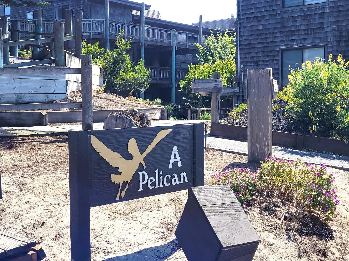 7 Pelican Point