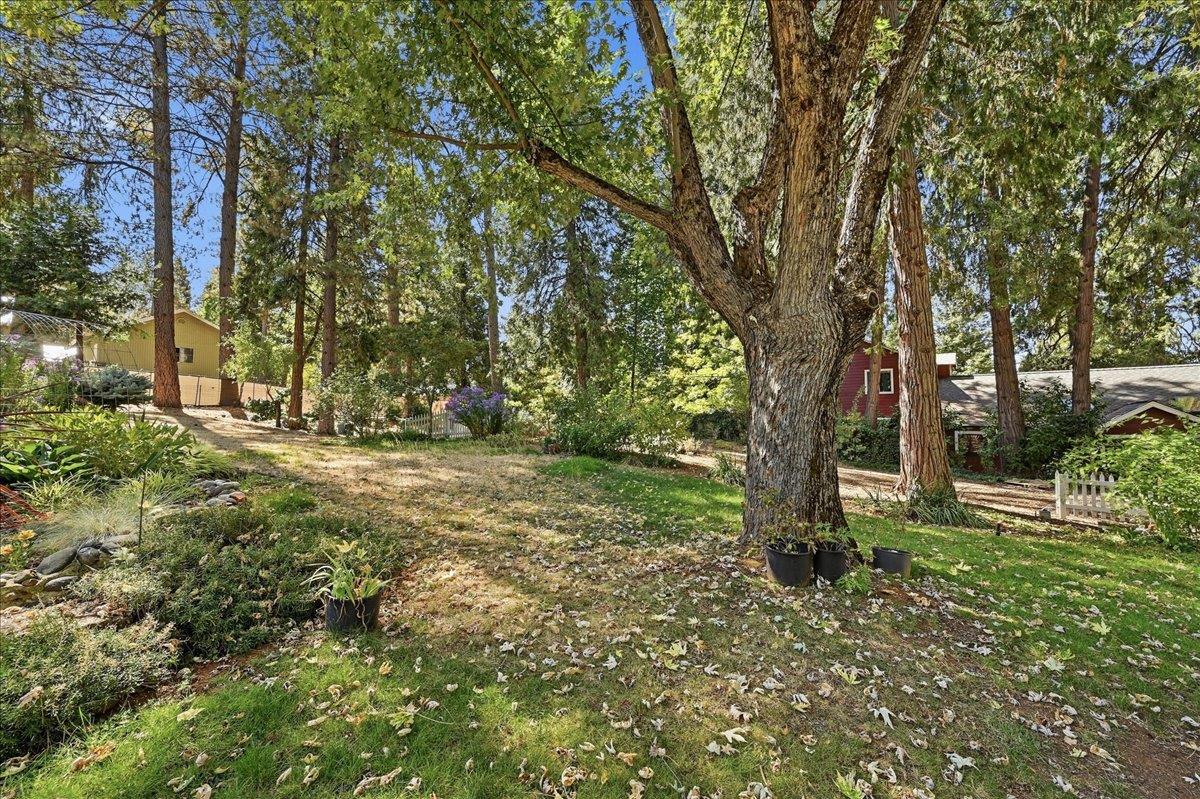 11077 Squirrel Creek RD