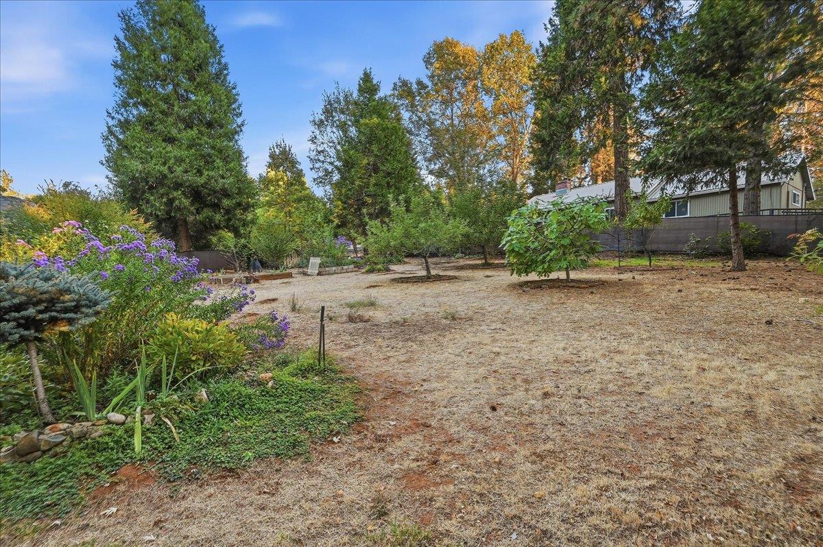 11077 Squirrel Creek RD