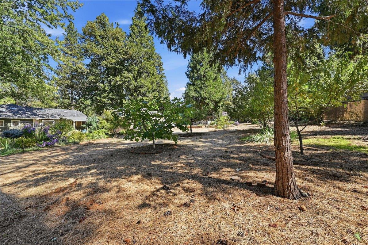 11077 Squirrel Creek RD
