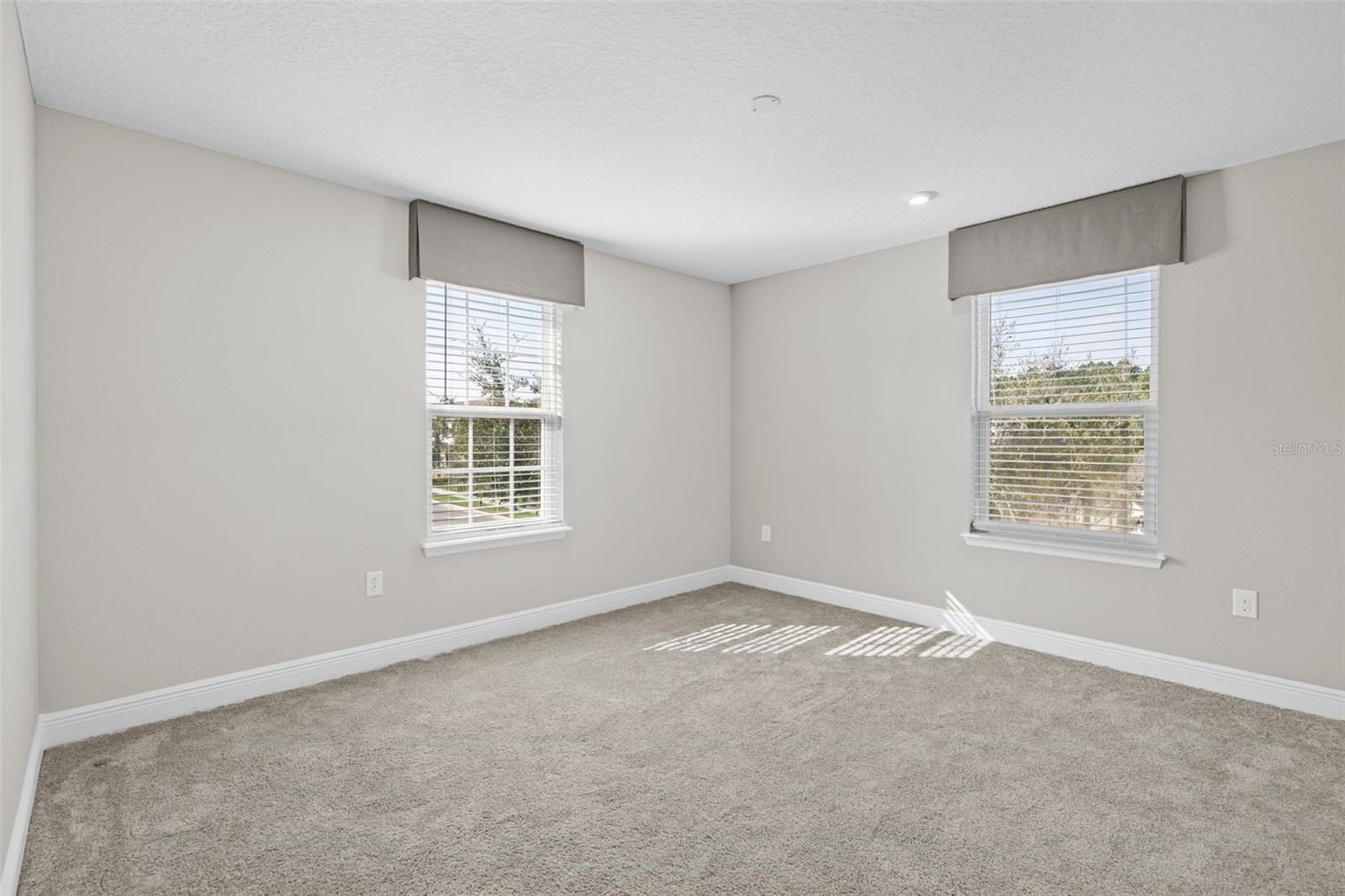 5994 PAINTED LEAF DR