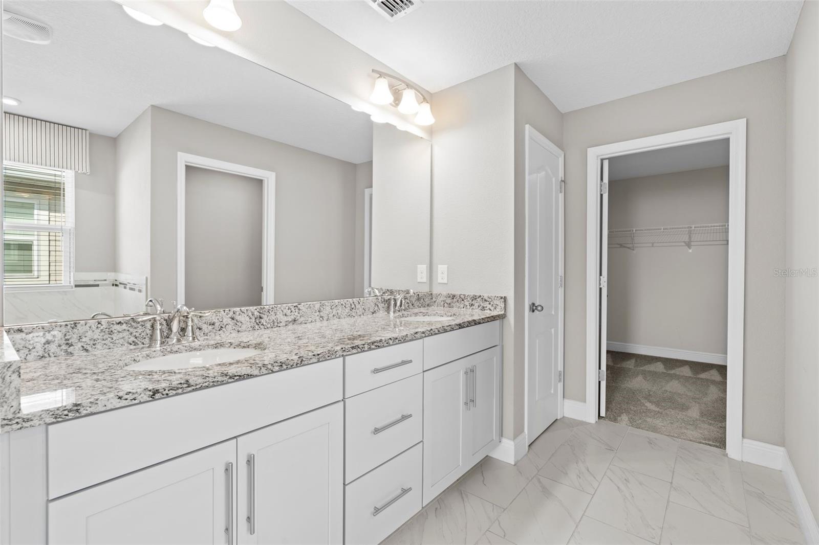 5994 PAINTED LEAF DR