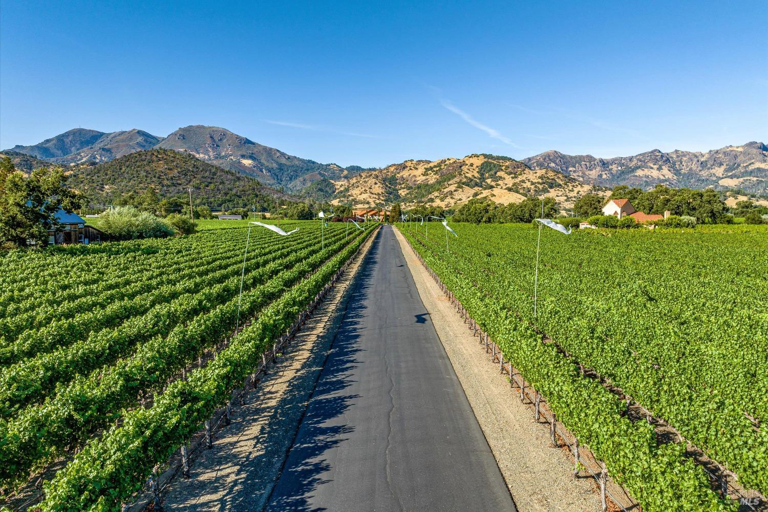 Bennett Lane Winery