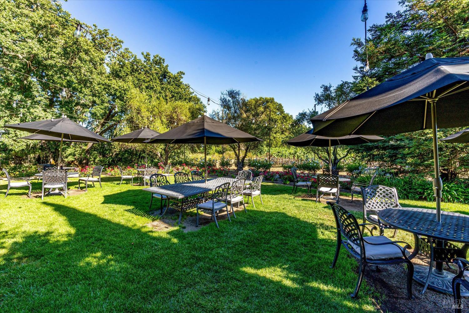 Bennett Lane Winery