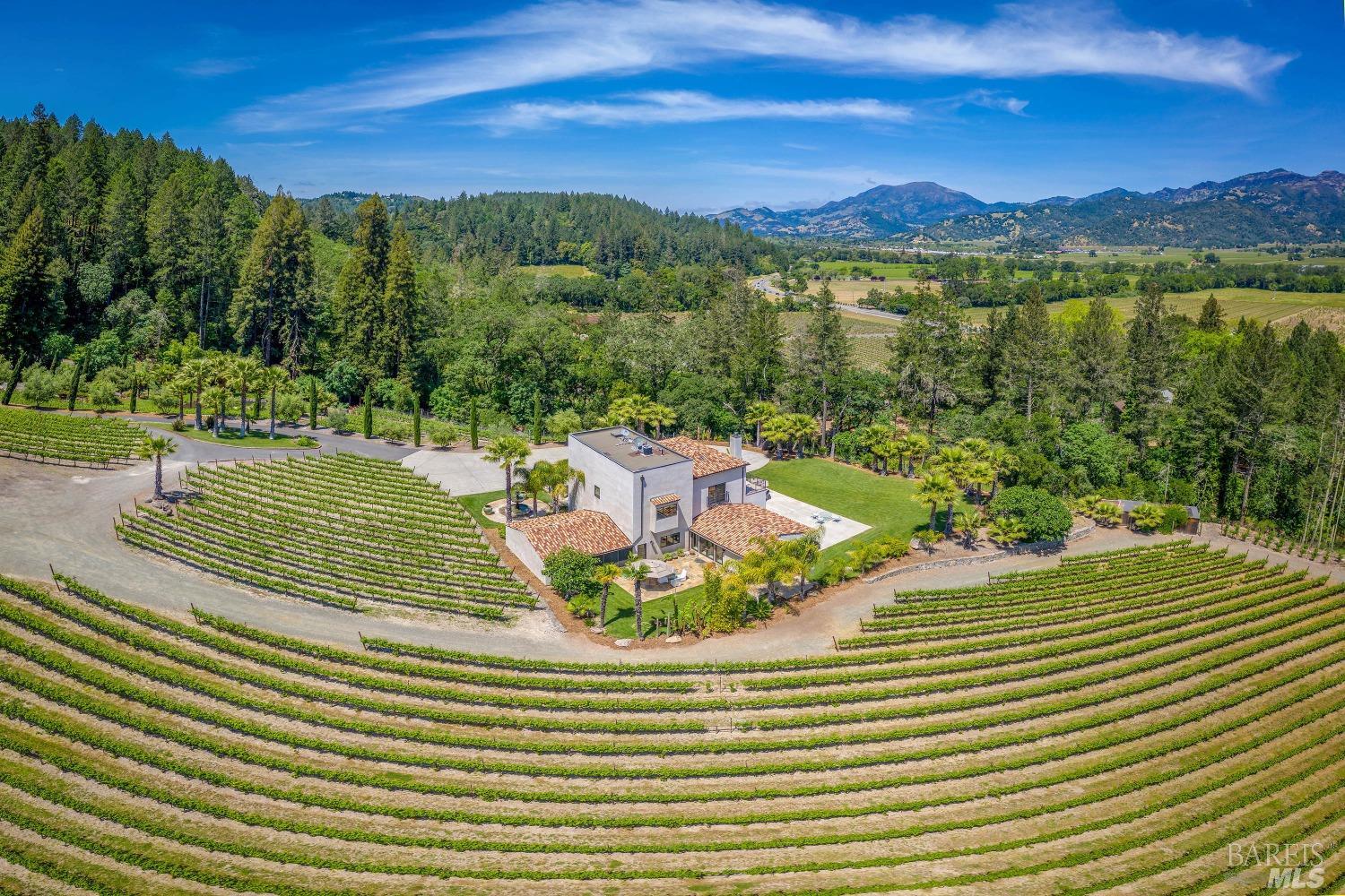 Modern European Vineyard Estate