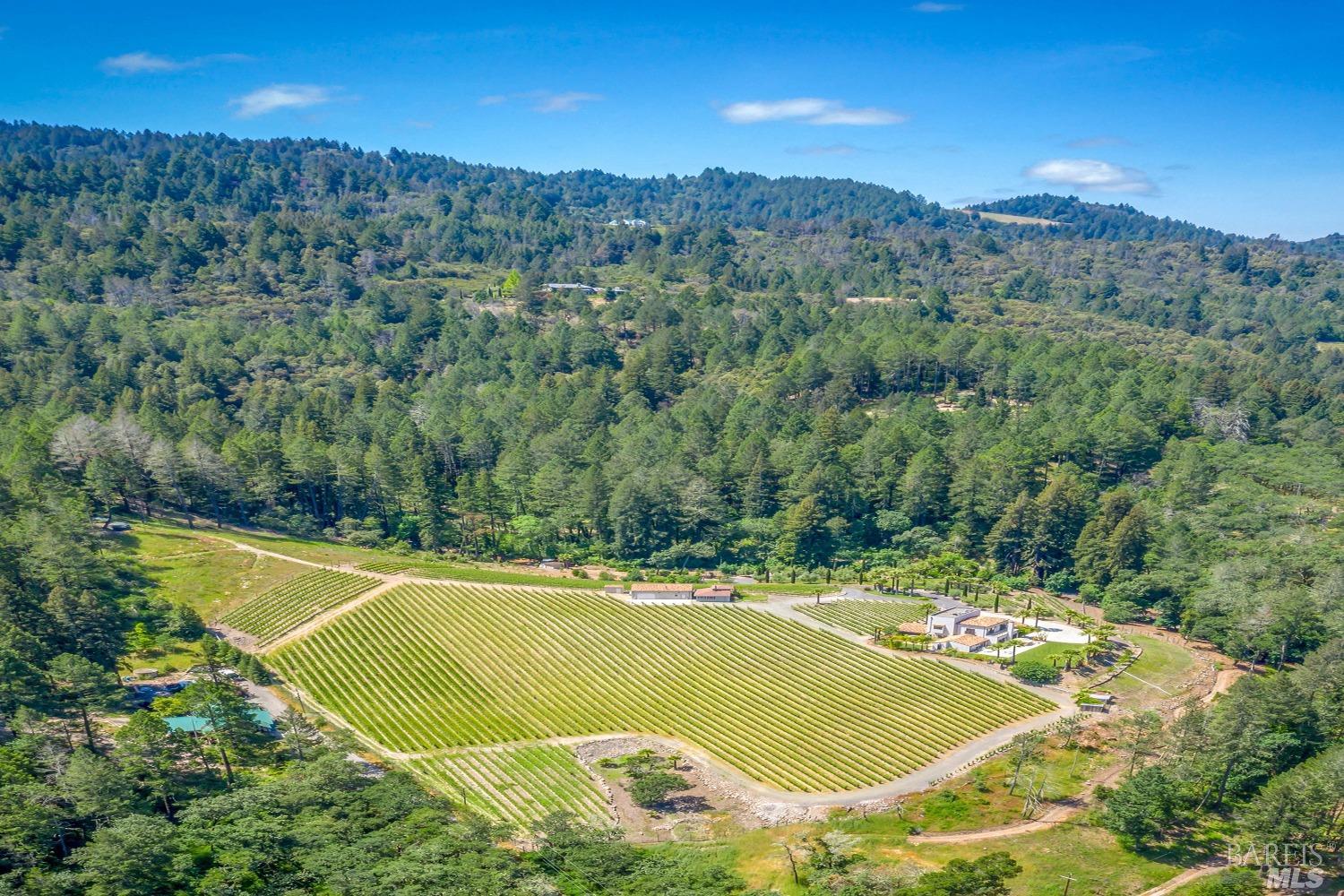 Modern European Vineyard Estate