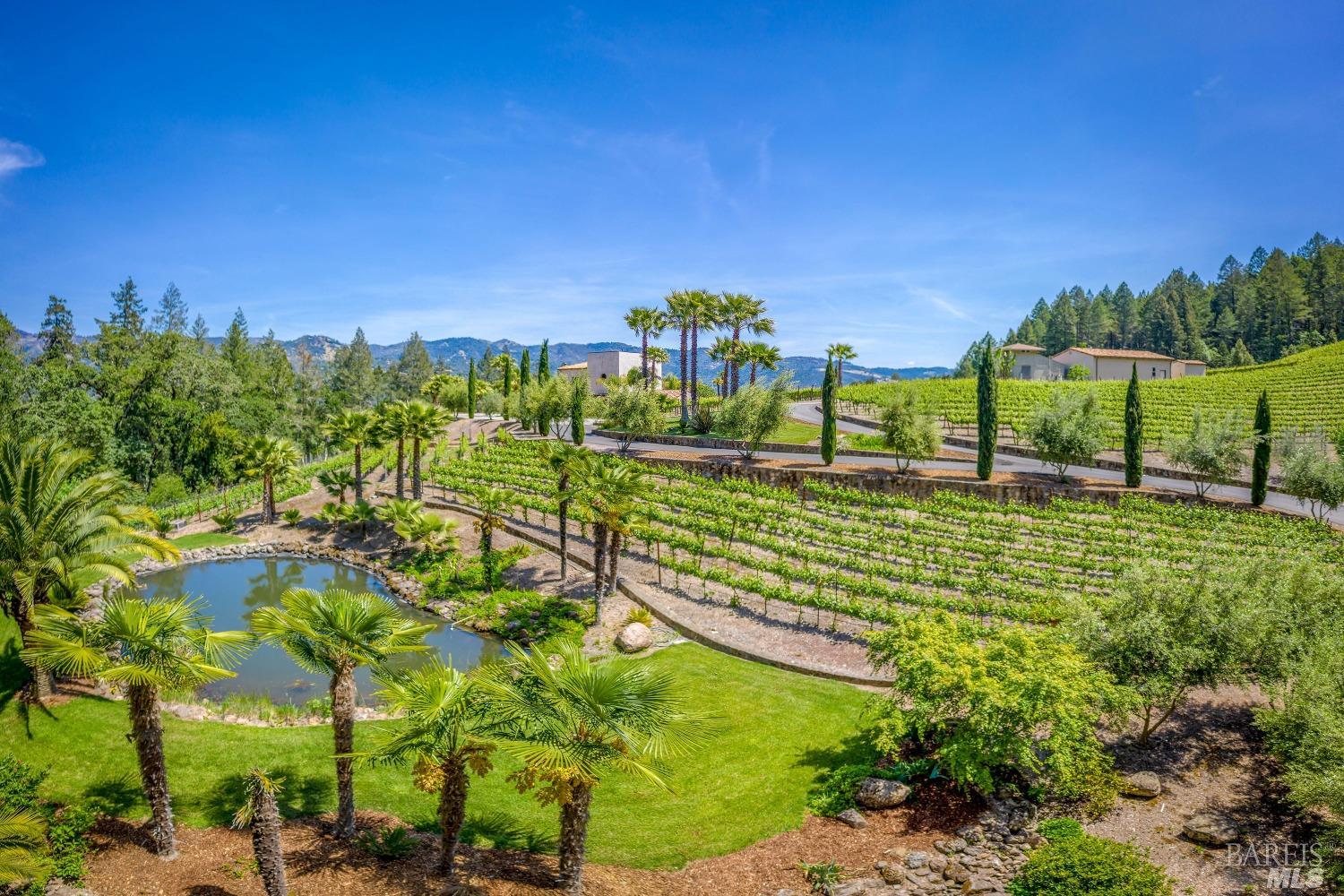 Modern European Vineyard Estate