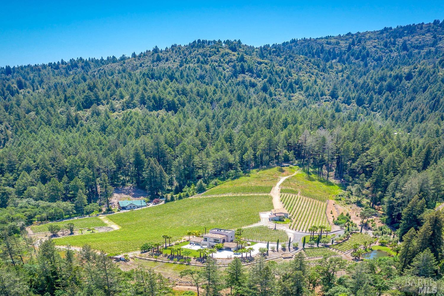 Modern European Vineyard Estate