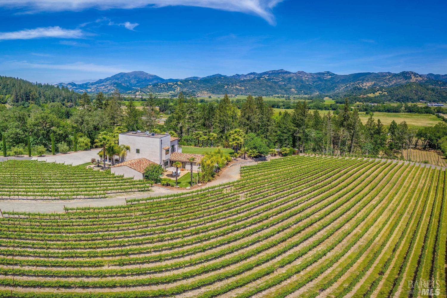 Modern European Vineyard Estate