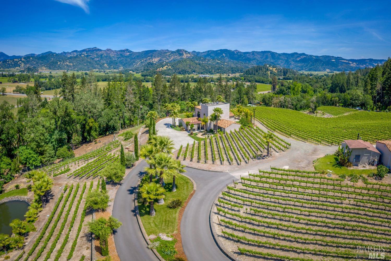 Modern European Vineyard Estate