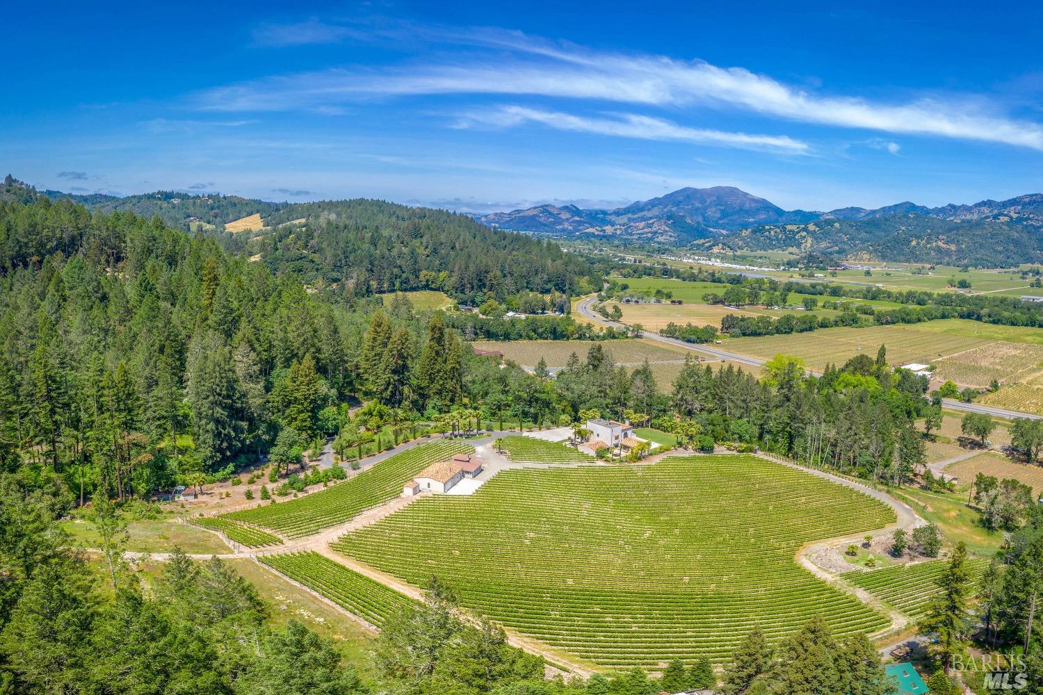 Modern European Vineyard Estate