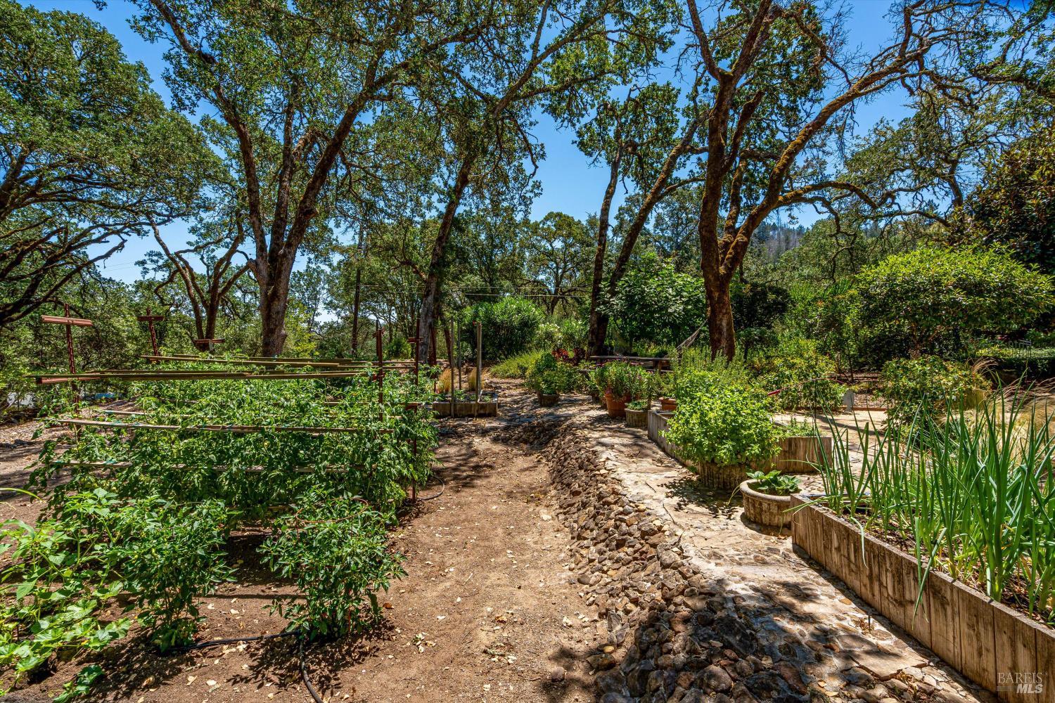 St. Helena Contemporary Estate