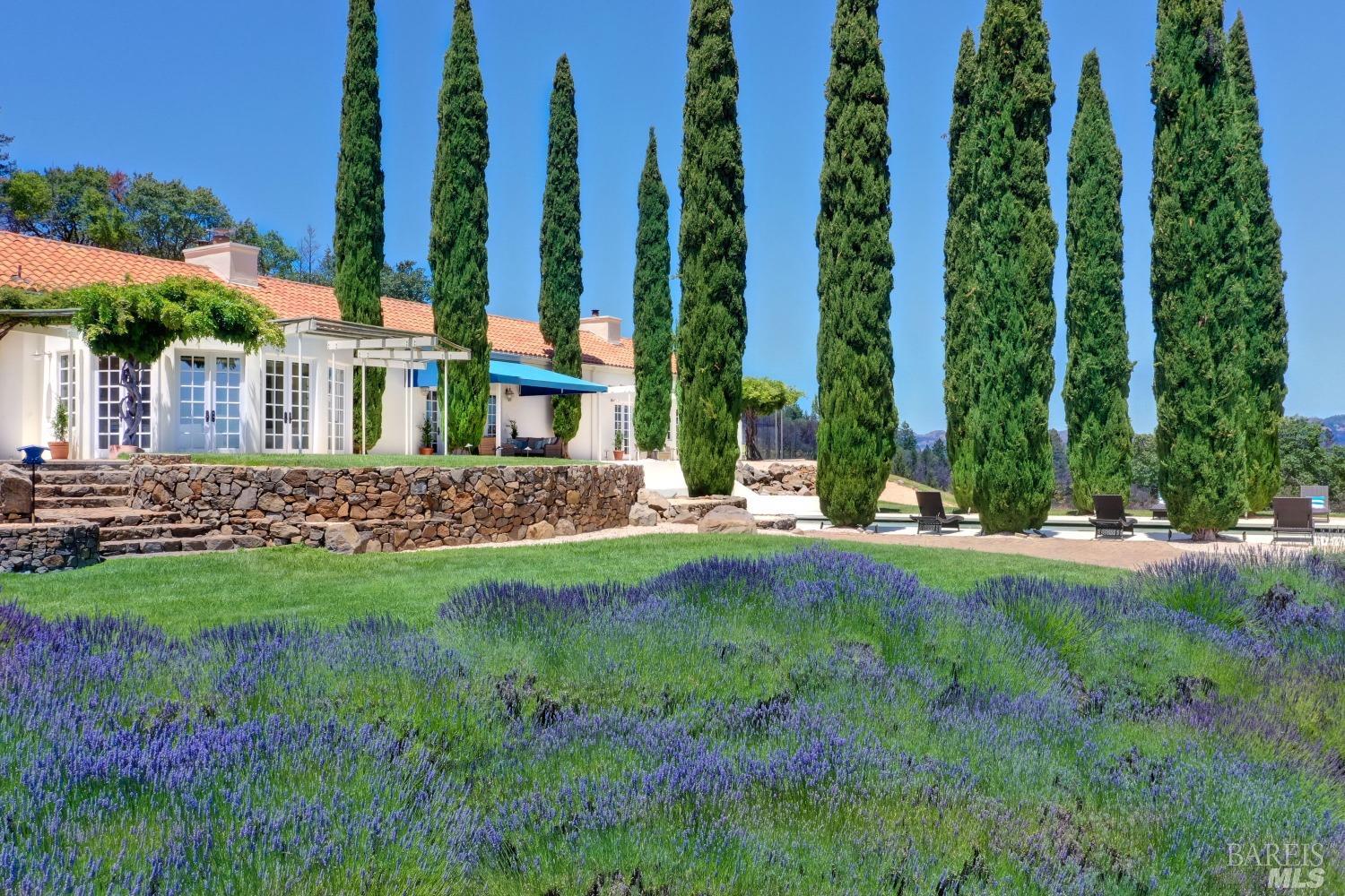 Modern Contemporary Estate