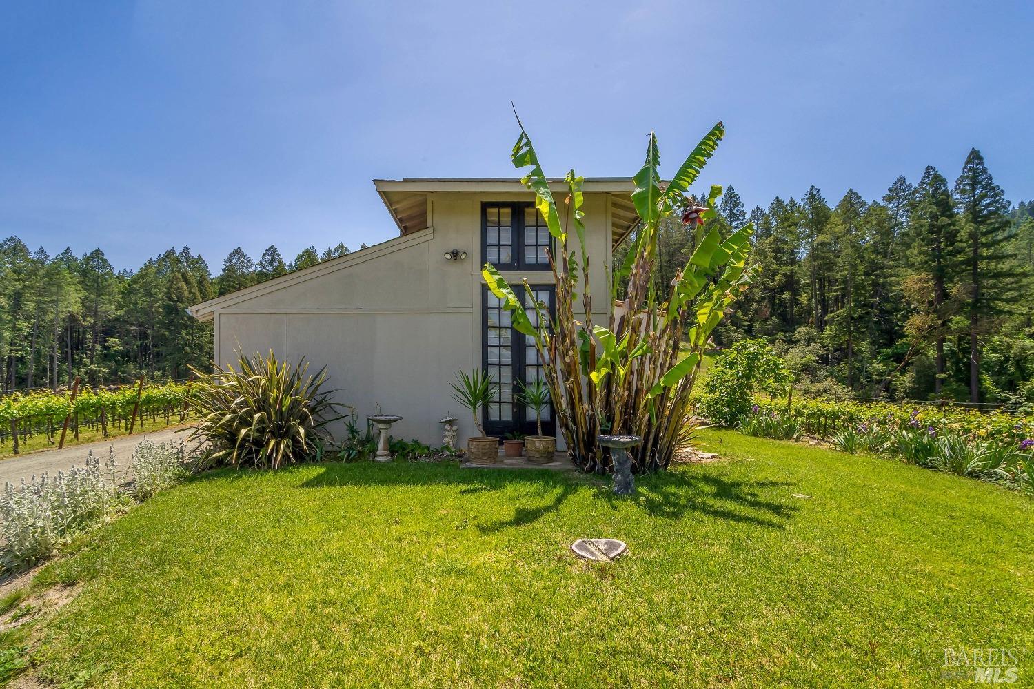 Modern European Vineyard Estate